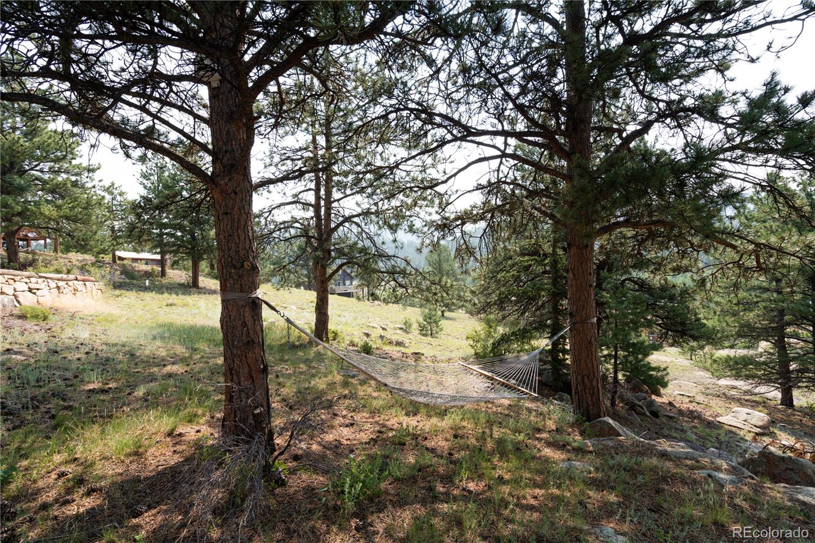 MLS Image #37 for 102  cutthroat drive,lake george, Colorado