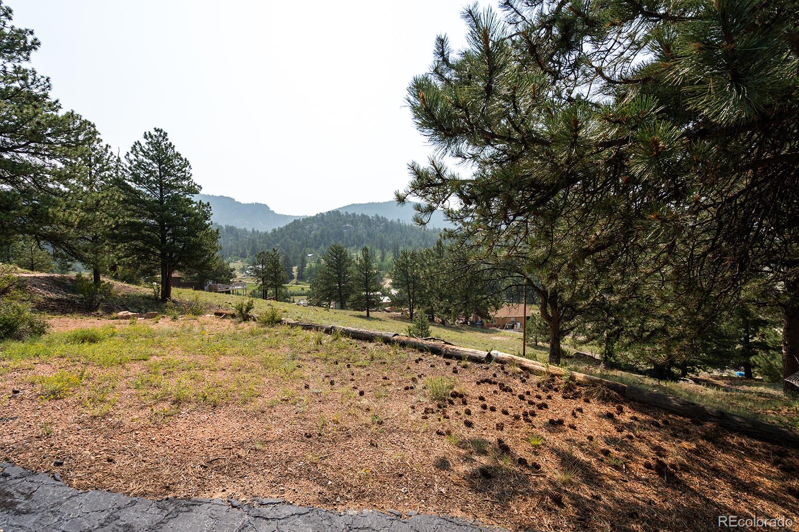 MLS Image #40 for 102  cutthroat drive,lake george, Colorado