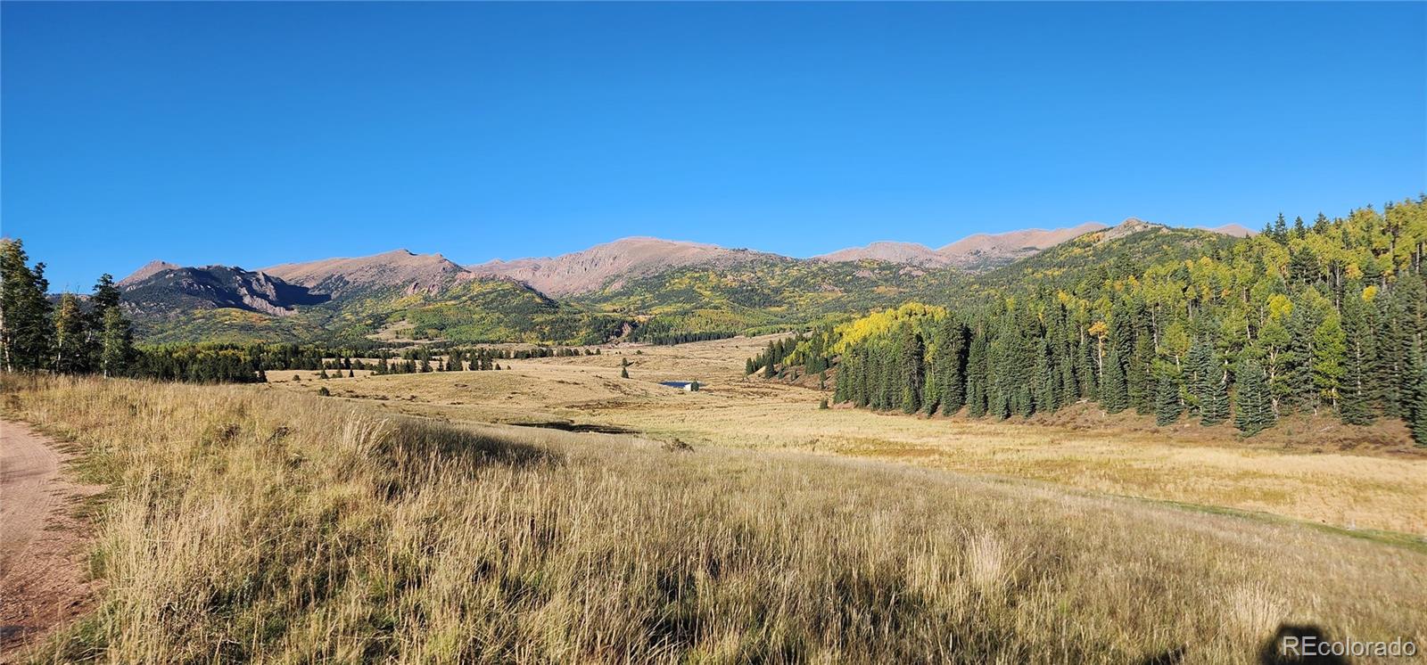 MLS Image #22 for 9964  highway 67 ,cripple creek, Colorado