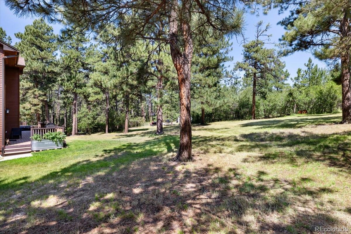 MLS Image #44 for 1893  silverheels drive,larkspur, Colorado