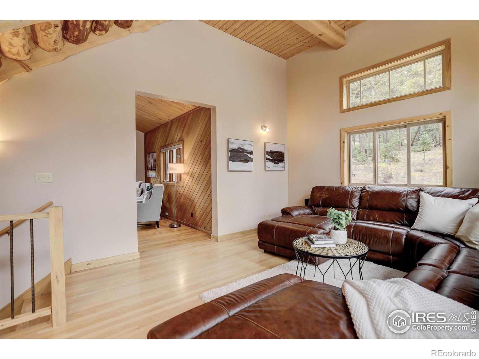 MLS Image #14 for 1287  pine glade road,nederland, Colorado