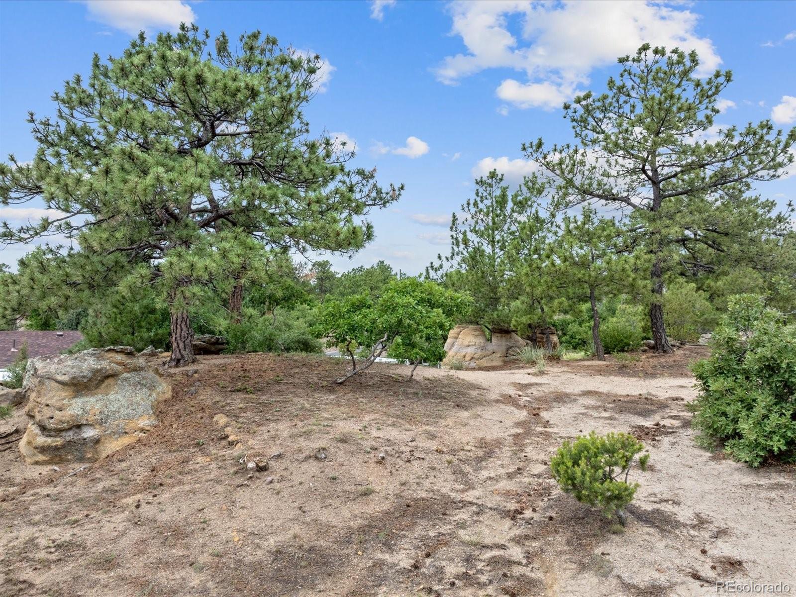 MLS Image #20 for 3590  hartsock lane,colorado springs, Colorado