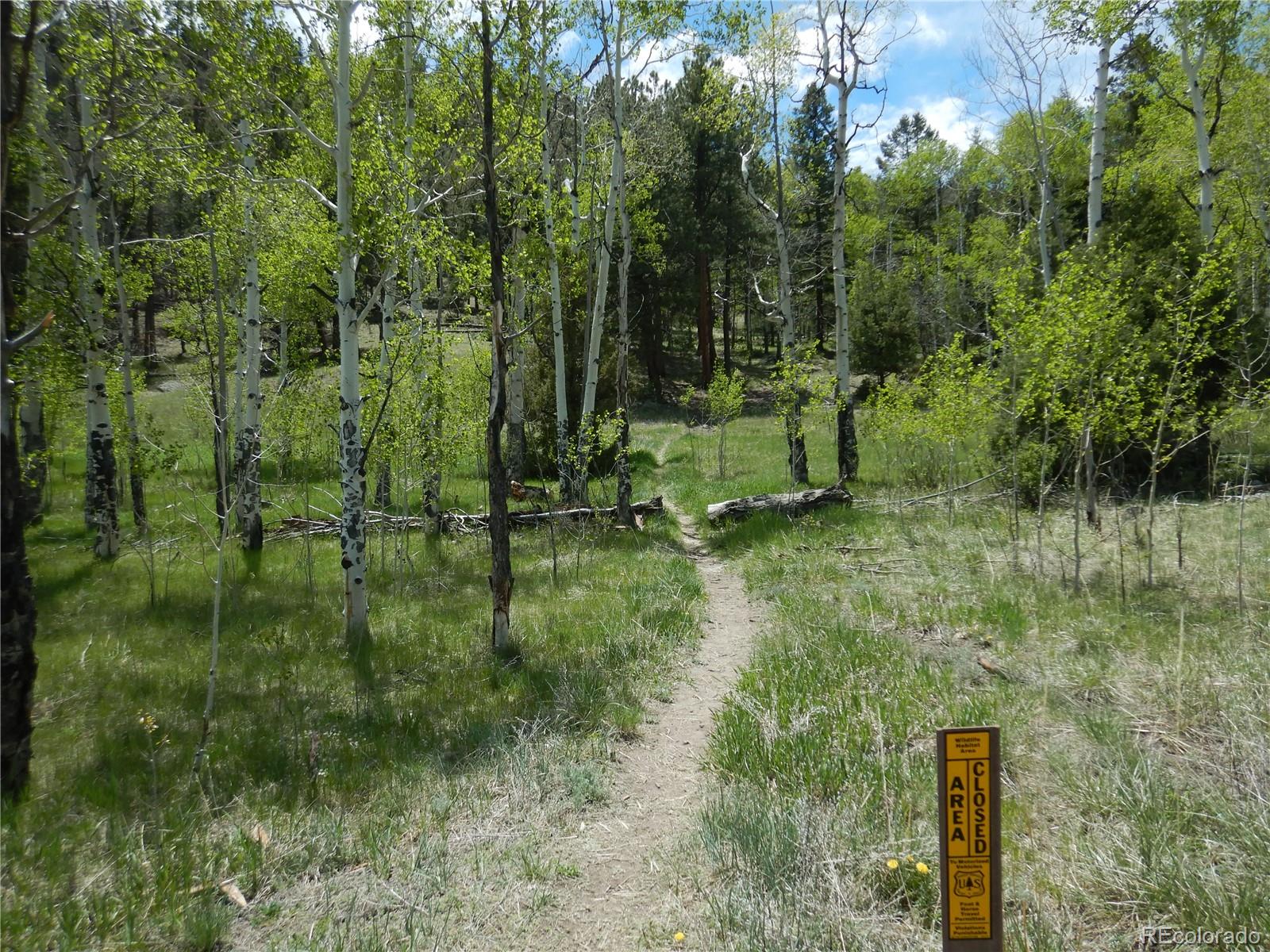 MLS Image #31 for 48  whispering pines drive,south fork, Colorado