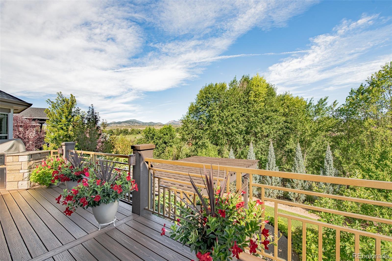 MLS Image #15 for 404  black elk court,loveland, Colorado