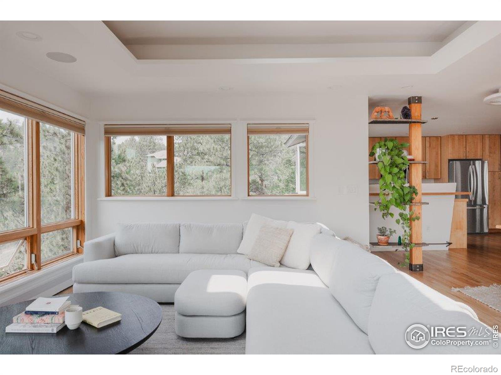 MLS Image #12 for 2127  fourmile canyon drive,boulder, Colorado