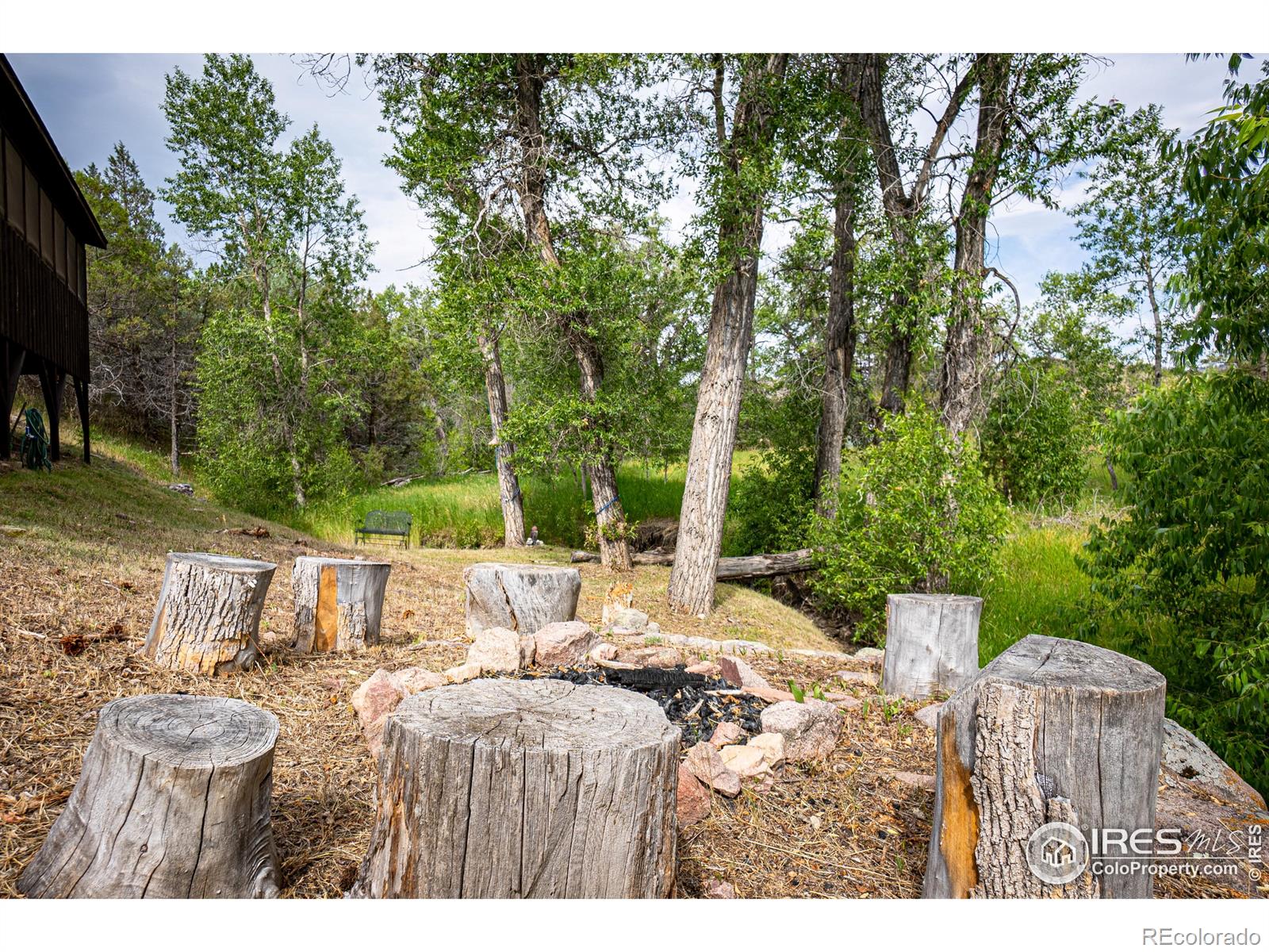 MLS Image #16 for 950  meadow creek road,livermore, Colorado