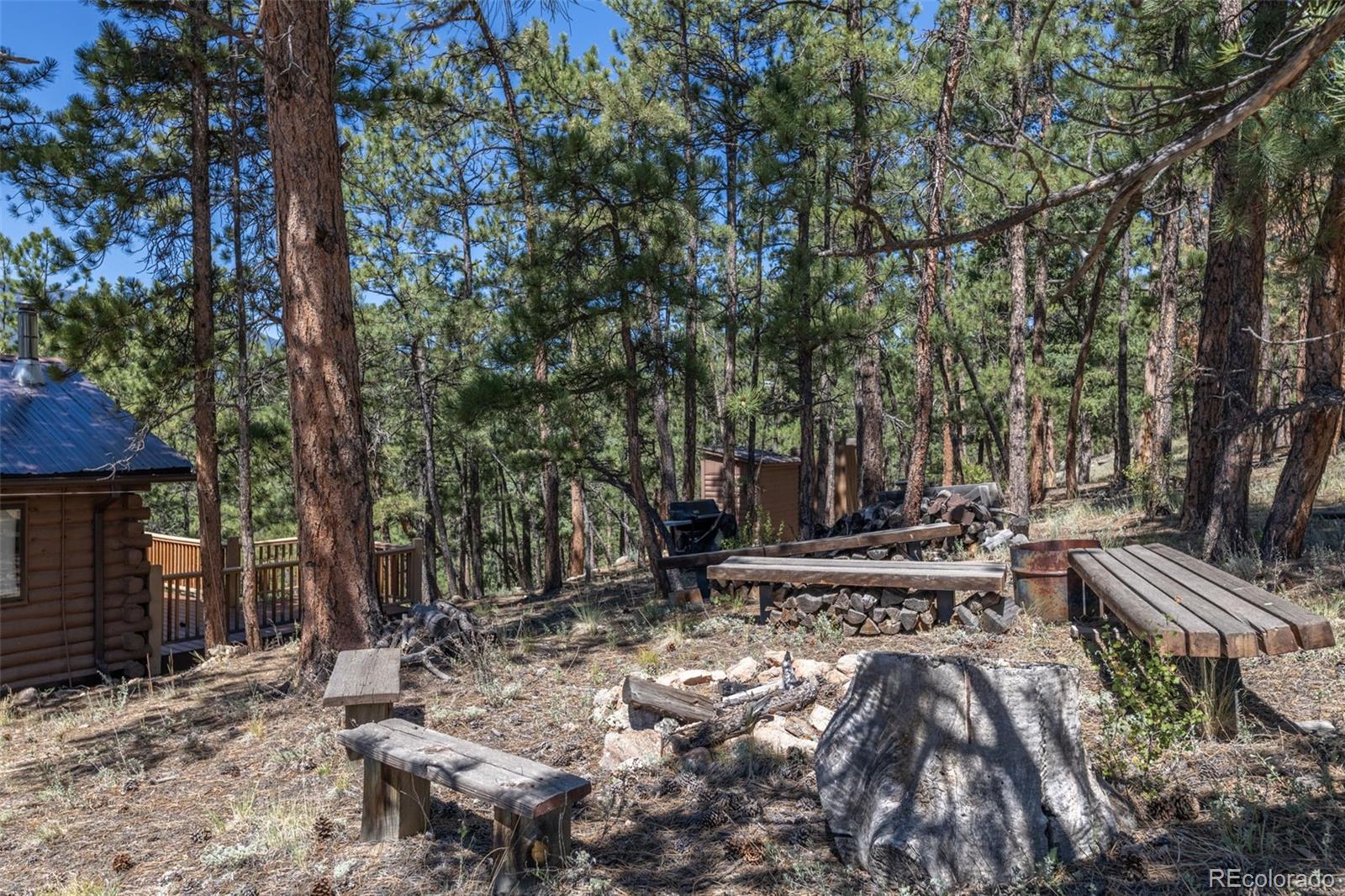 MLS Image #29 for 307  virginia road,bailey, Colorado