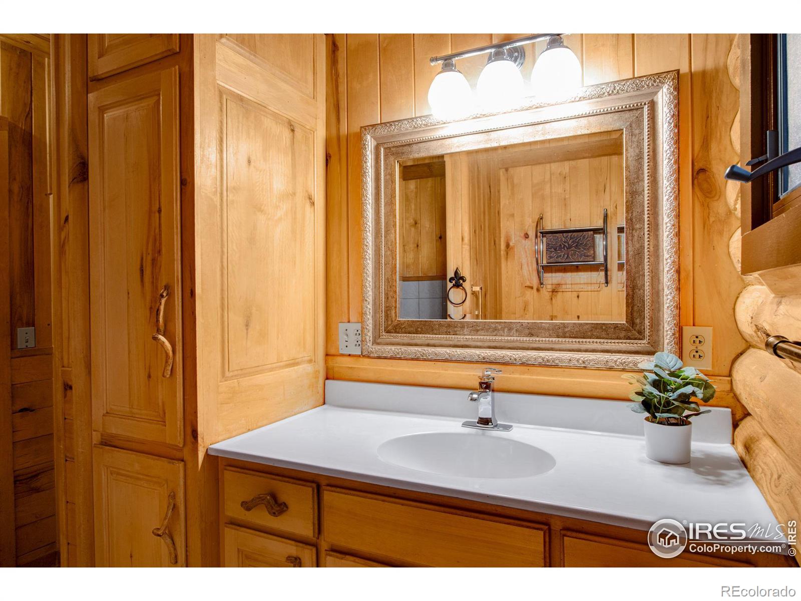 MLS Image #32 for 679  mount massive drive,livermore, Colorado