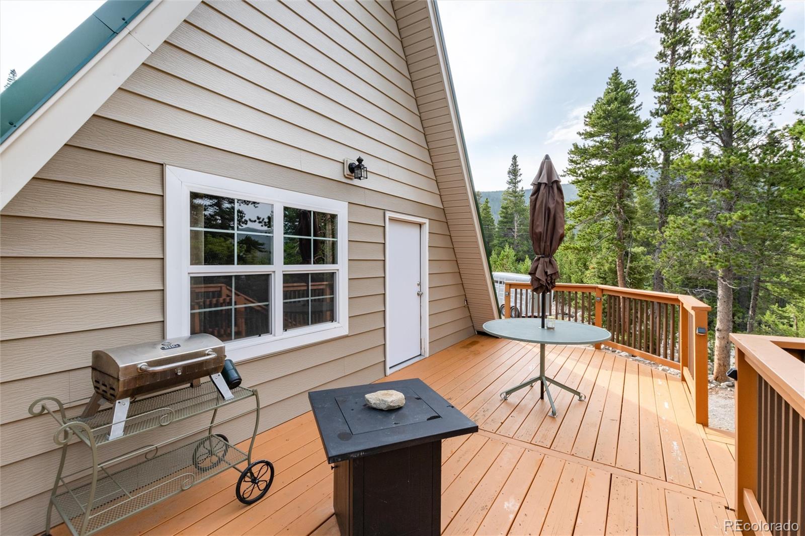 MLS Image #17 for 1235  alice road,idaho springs, Colorado