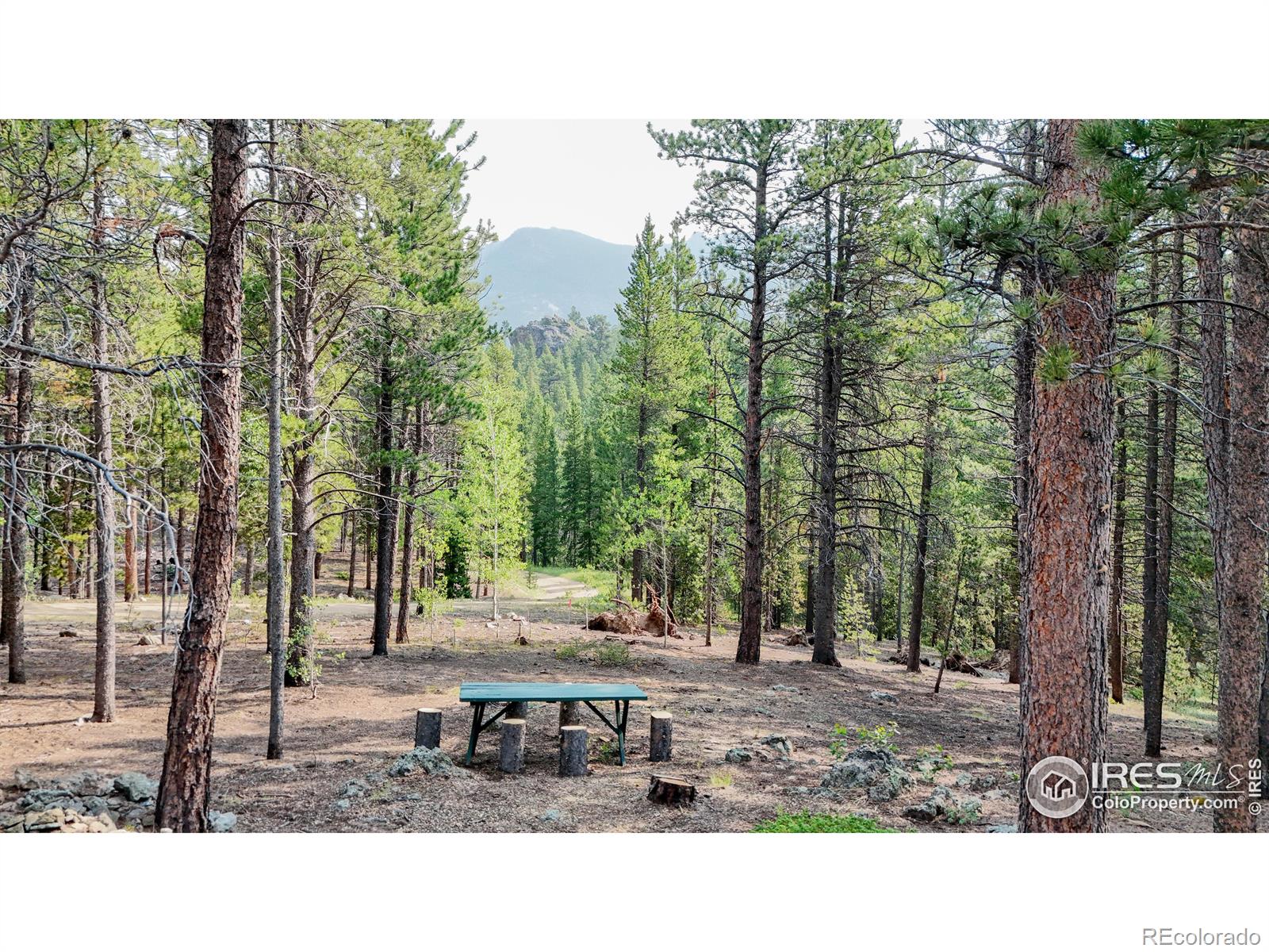 MLS Image #36 for 2420  big owl road,allenspark, Colorado