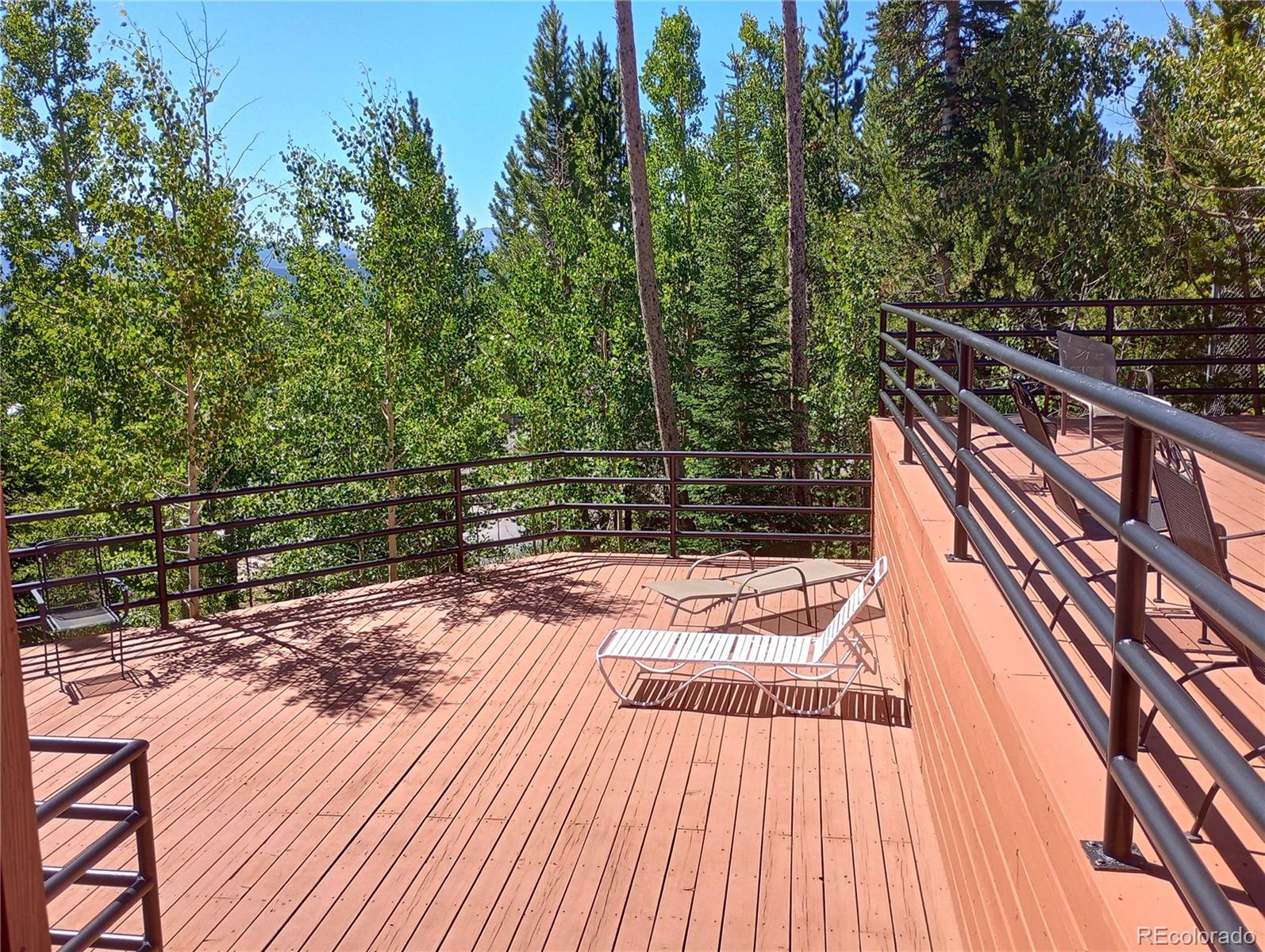 MLS Image #27 for 91400  ryan gulch road,silverthorne, Colorado