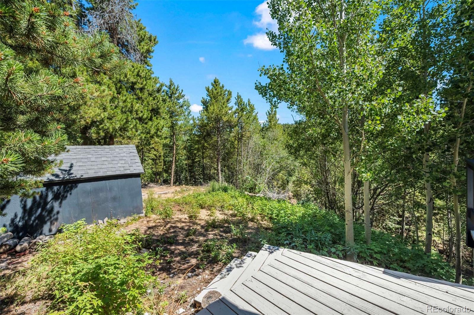 MLS Image #26 for 10411  dowdle drive,golden, Colorado