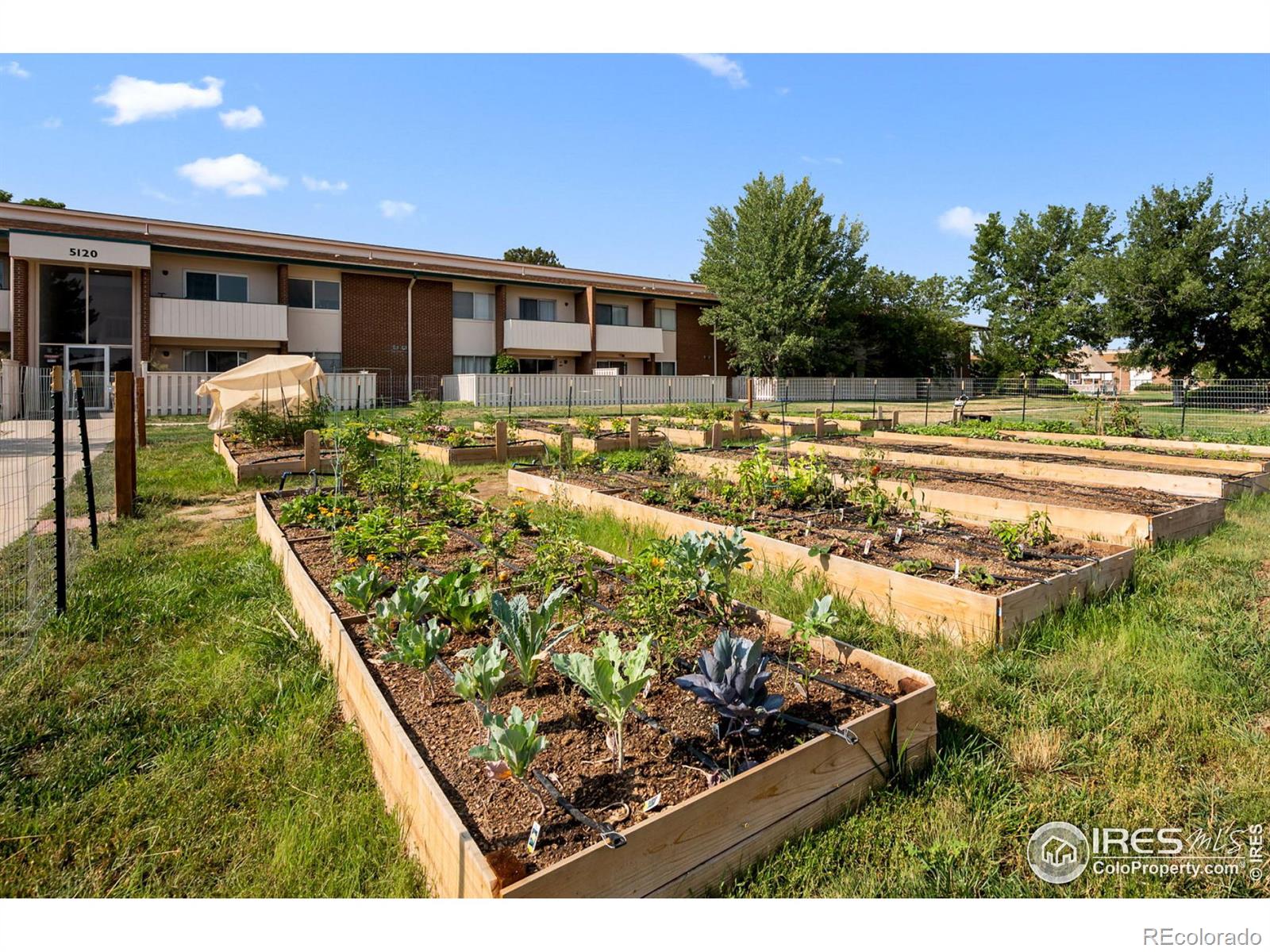 MLS Image #14 for 5110  williams fork trail,boulder, Colorado