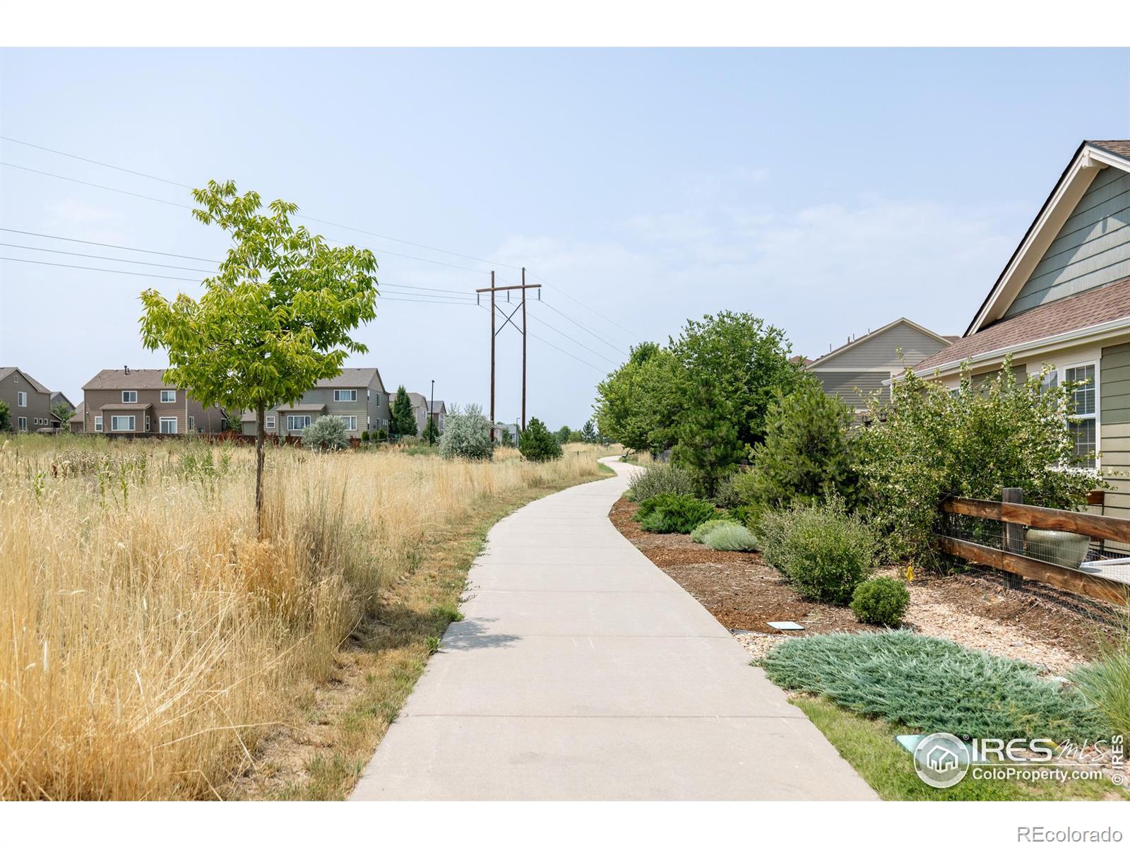 MLS Image #22 for 98  jackson place,erie, Colorado