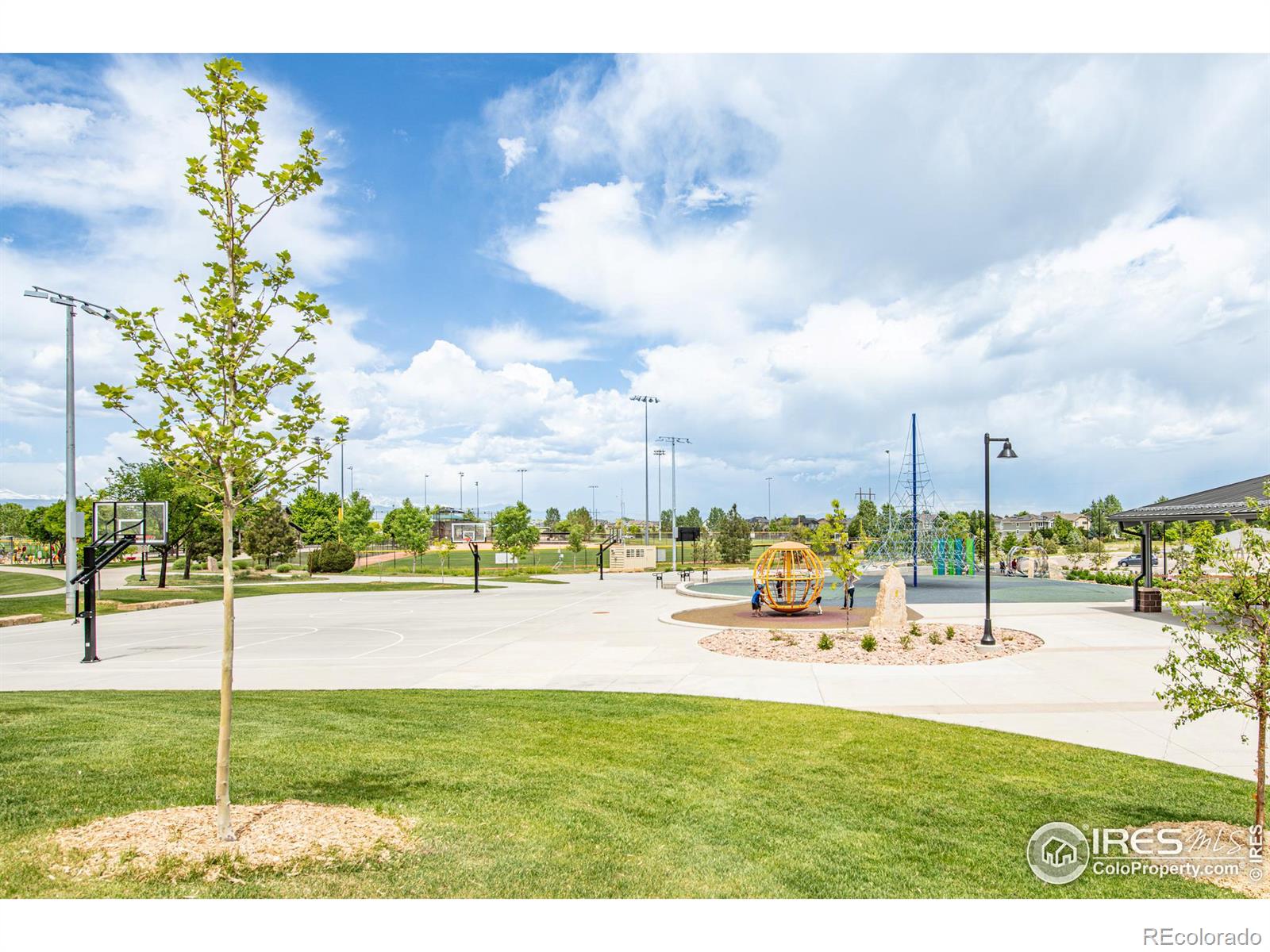 MLS Image #24 for 98  jackson place,erie, Colorado