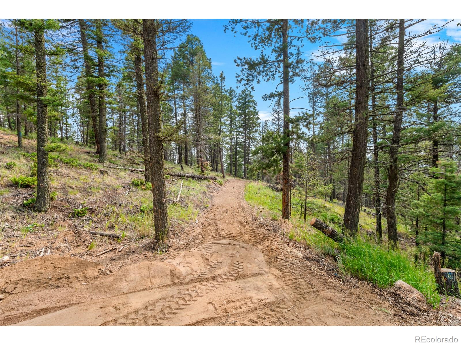 MLS Image #29 for 900  beaver creek drive,florissant, Colorado