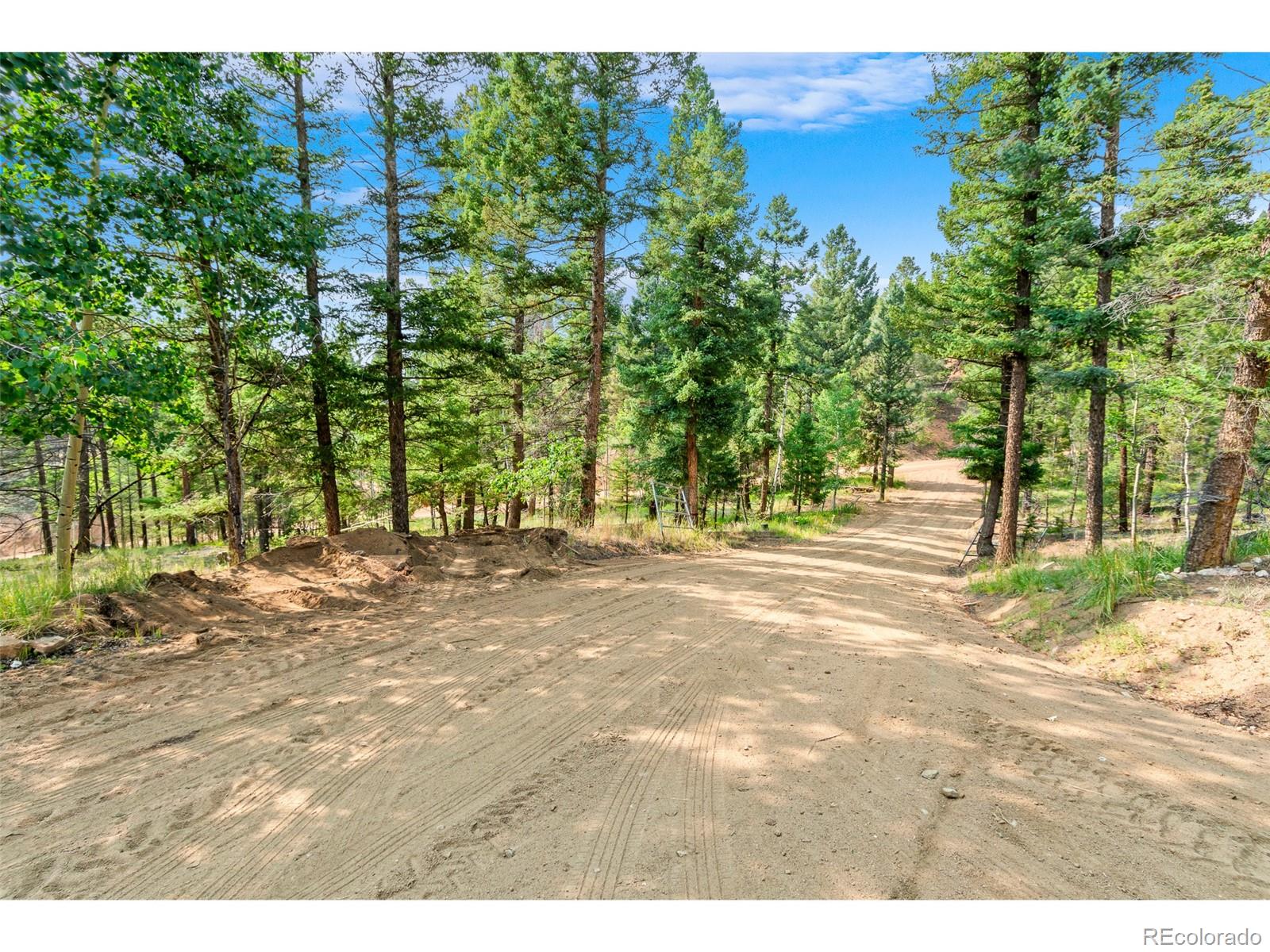 MLS Image #3 for 900  beaver creek drive,florissant, Colorado