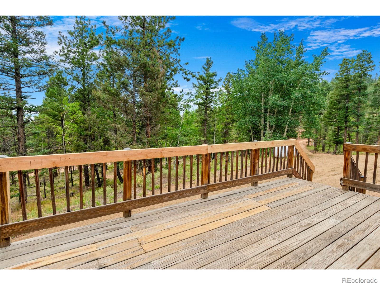 MLS Image #5 for 900  beaver creek drive,florissant, Colorado