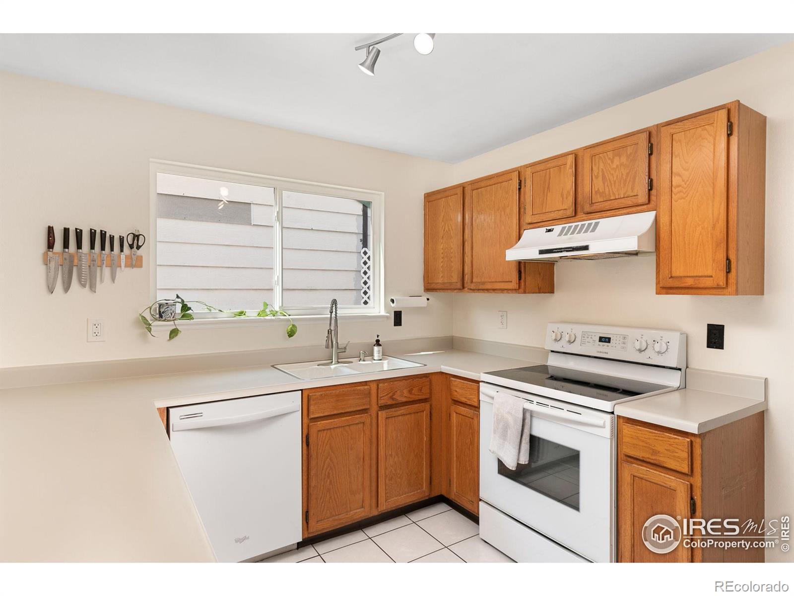 MLS Image #10 for 1836  juniper street,longmont, Colorado