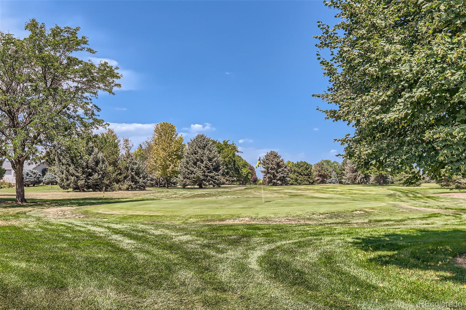 MLS Image #41 for 210  grand view circle,mead, Colorado