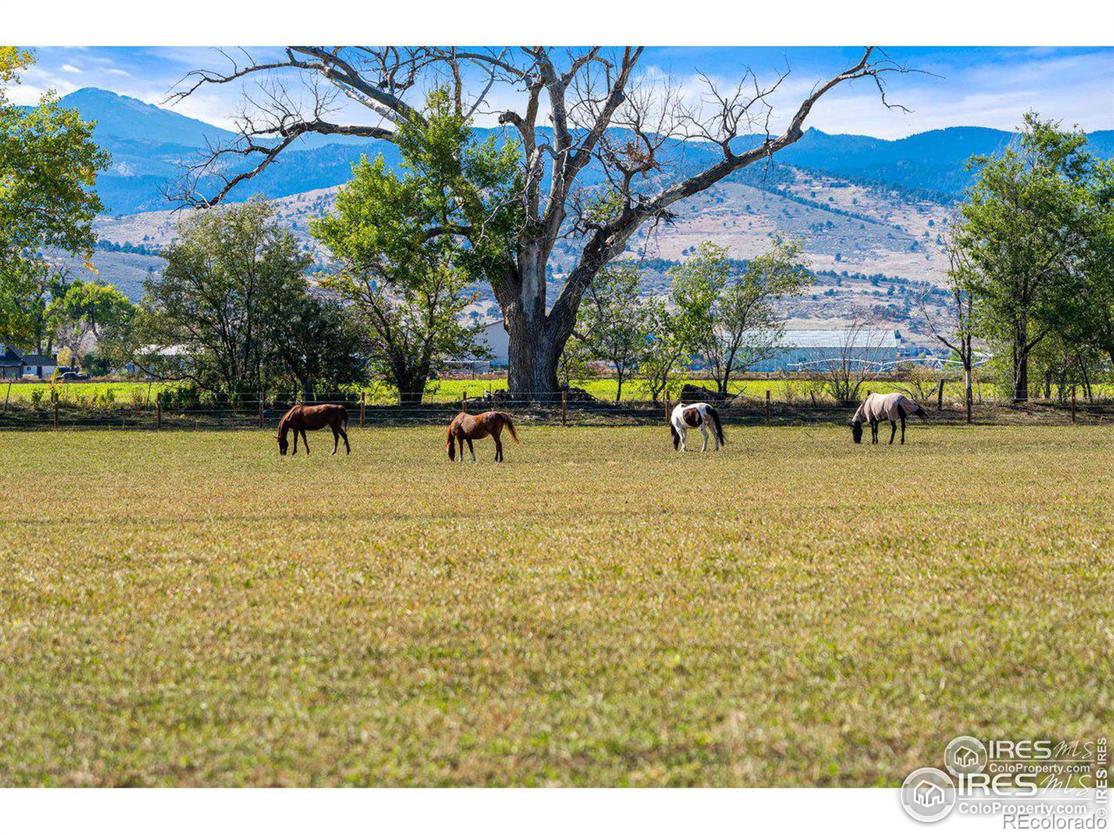 MLS Image #31 for 560  talons reach run,berthoud, Colorado