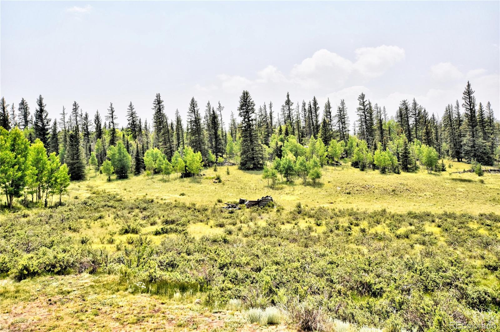 MLS Image #20 for 446  chief trail,como, Colorado