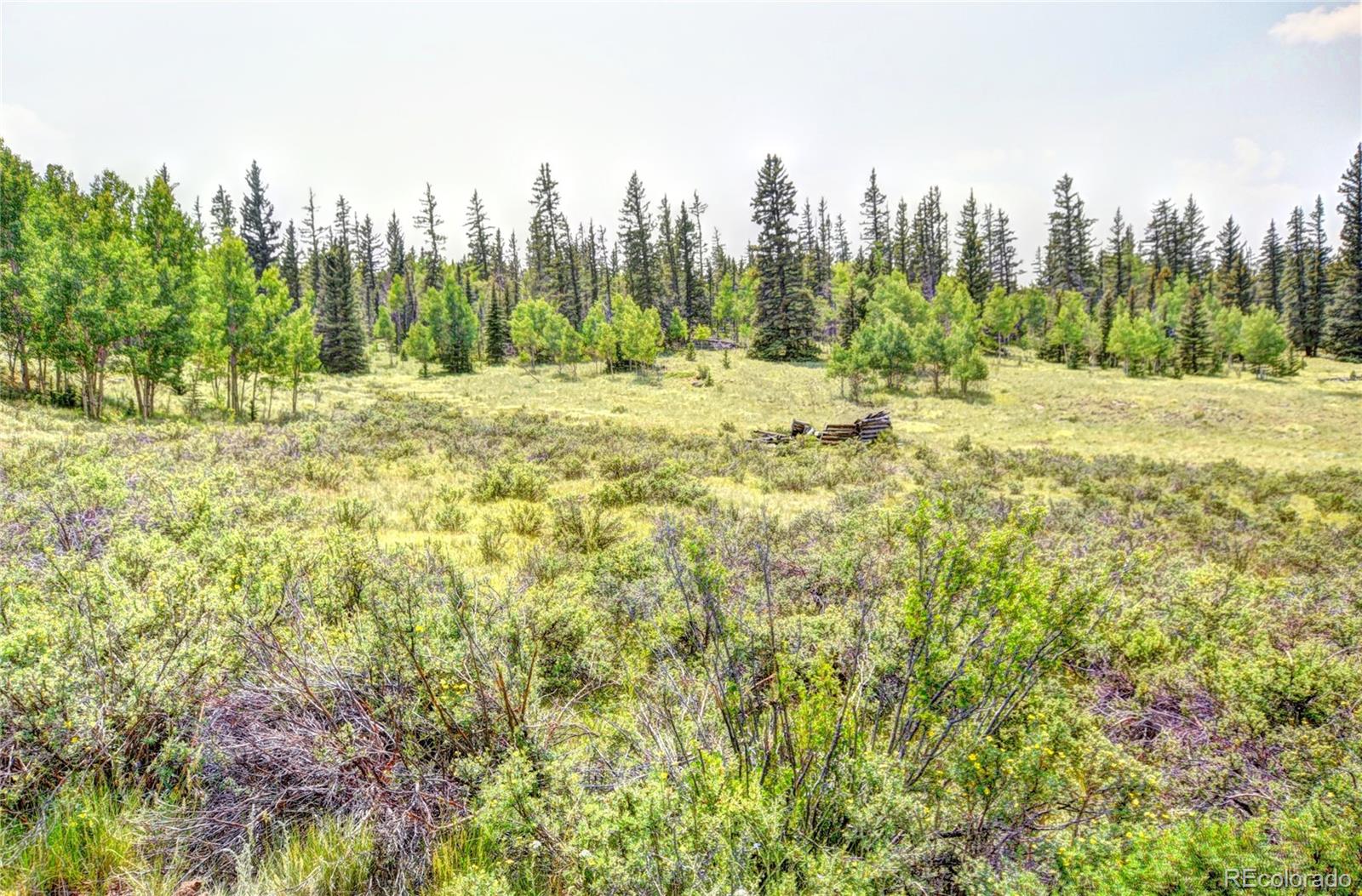 MLS Image #25 for 446  chief trail,como, Colorado