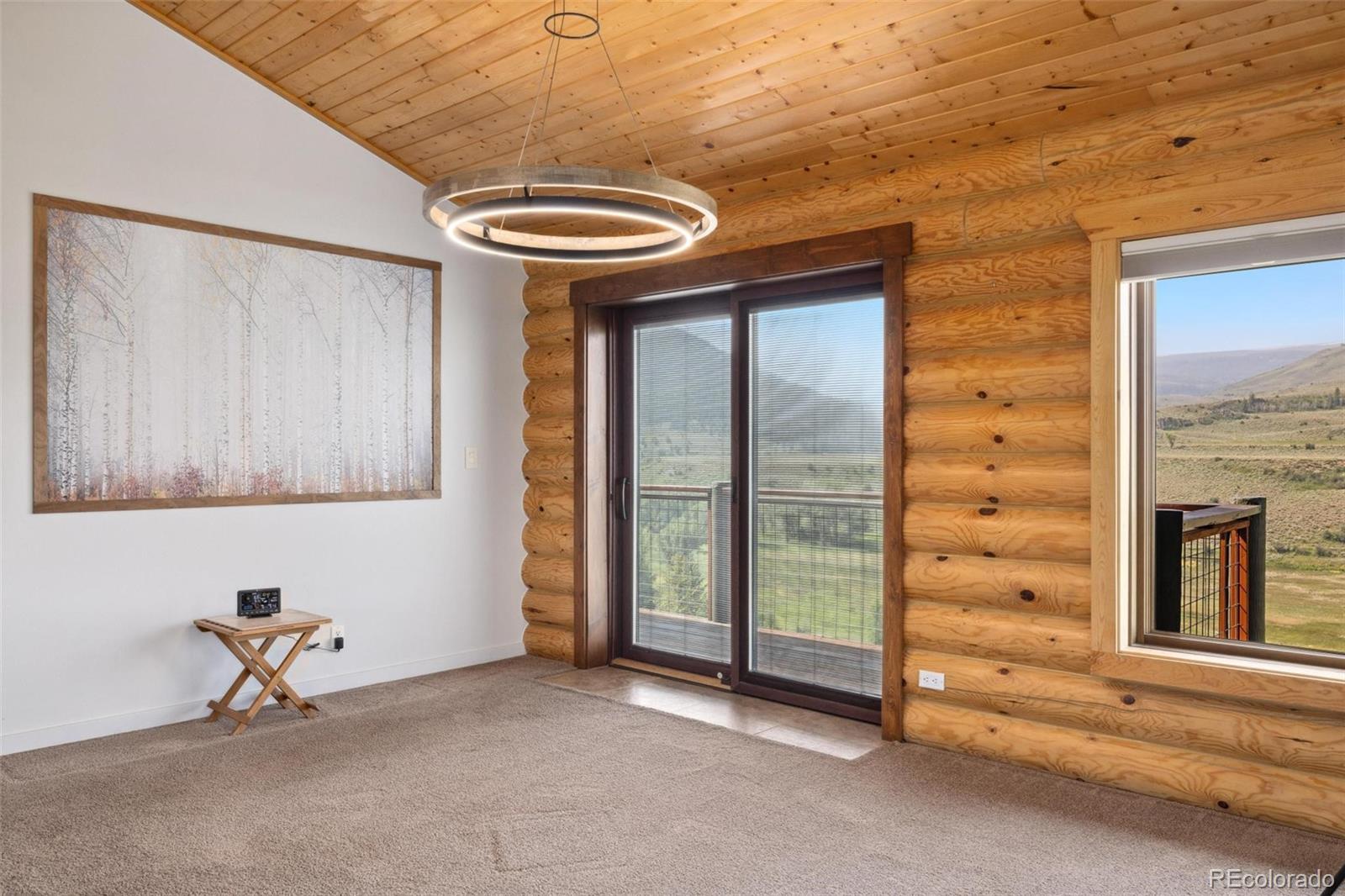 MLS Image #10 for 325  county road 100 ,silverthorne, Colorado