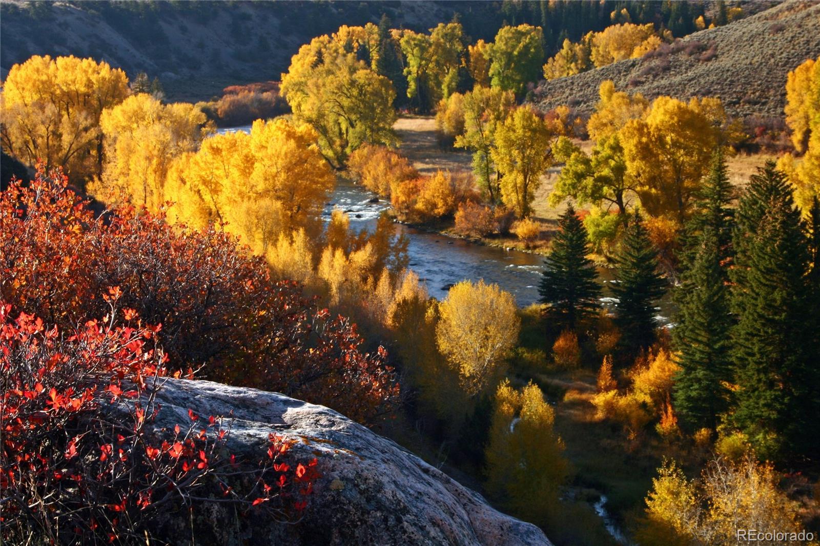 MLS Image #43 for 325  county road 100 ,silverthorne, Colorado