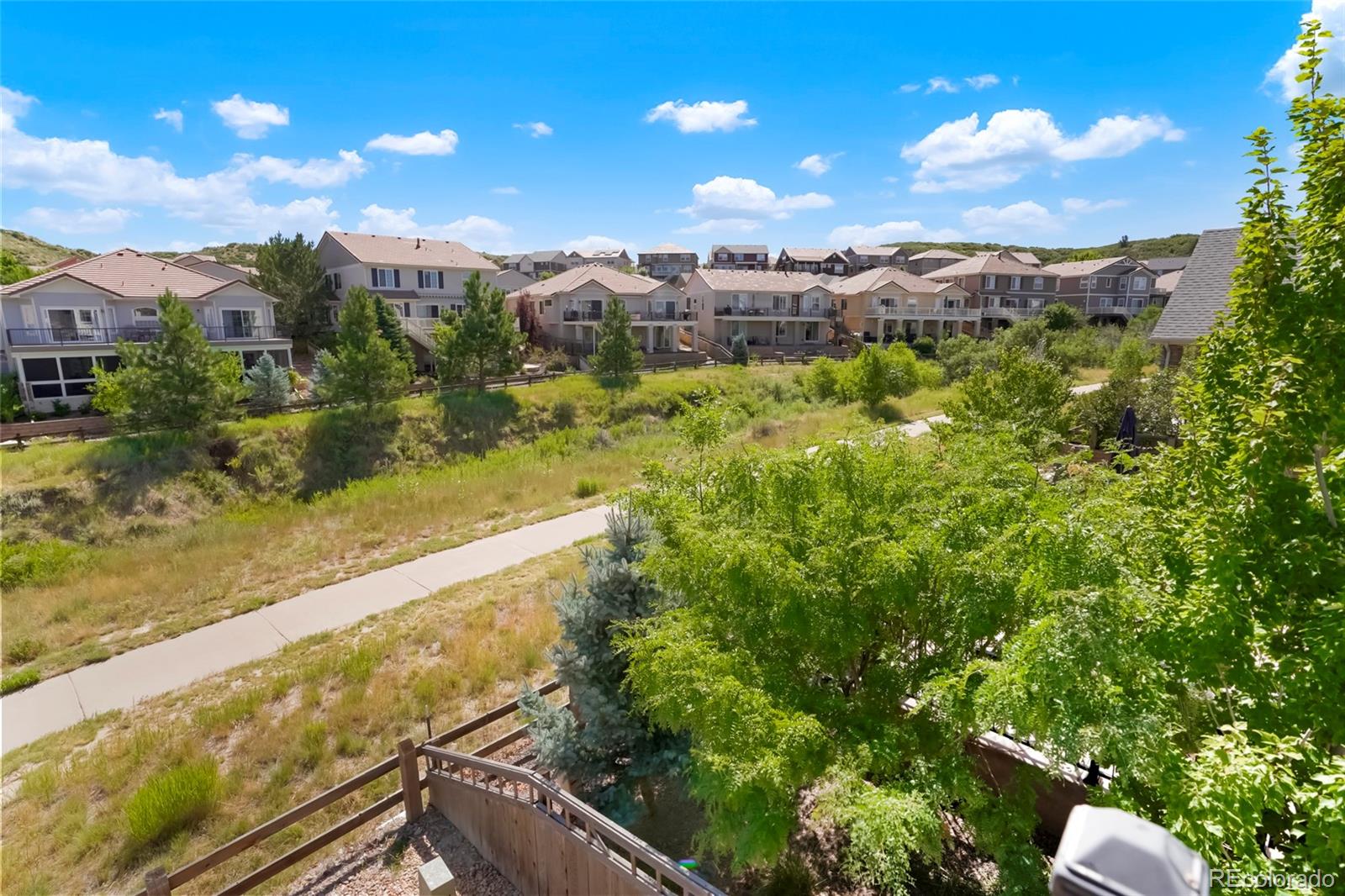 MLS Image #23 for 3343  starry night loop,castle rock, Colorado