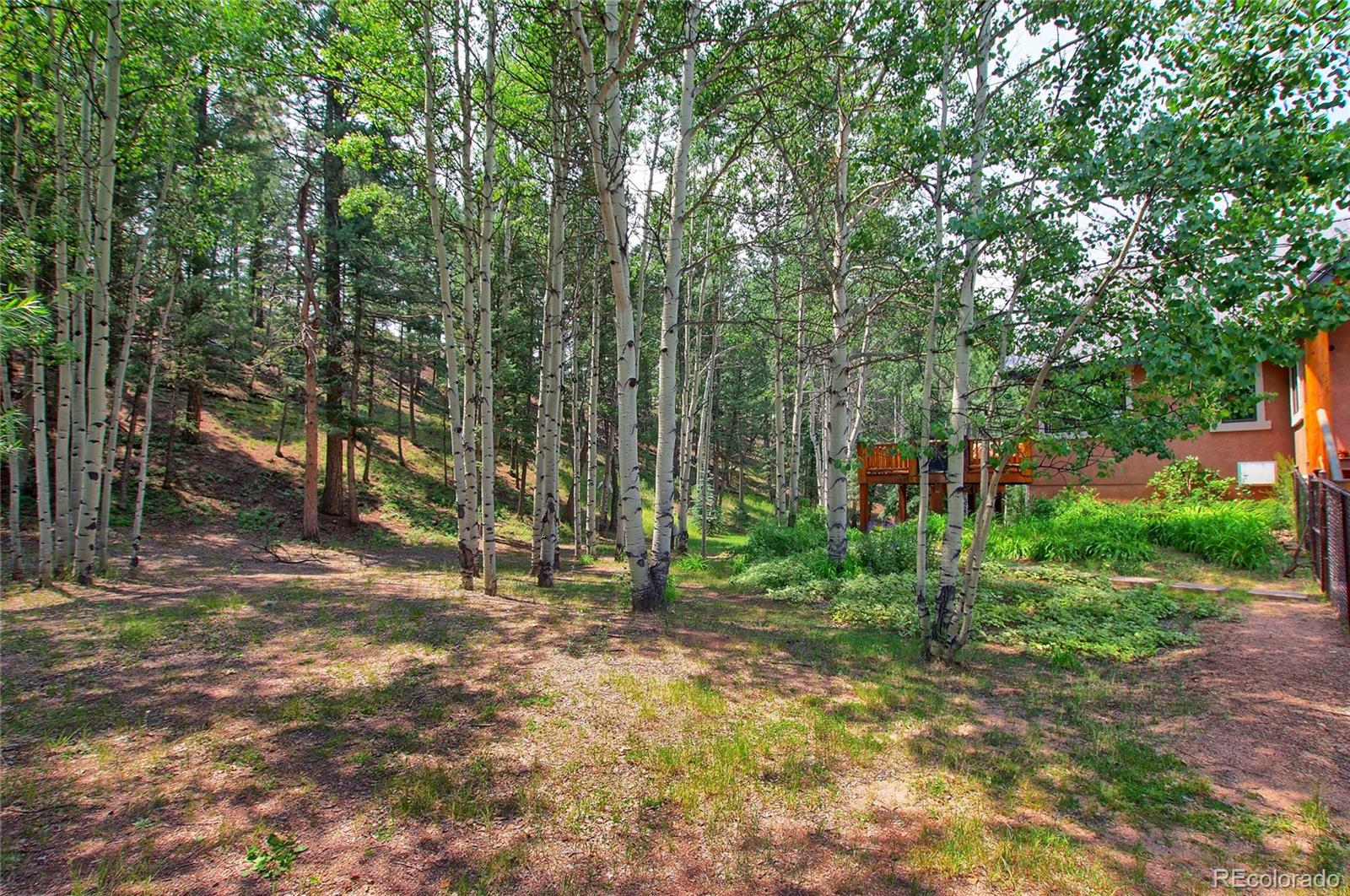 MLS Image #41 for 111 e lovell gulch rd, wo e lovell gulch road,woodland park, Colorado