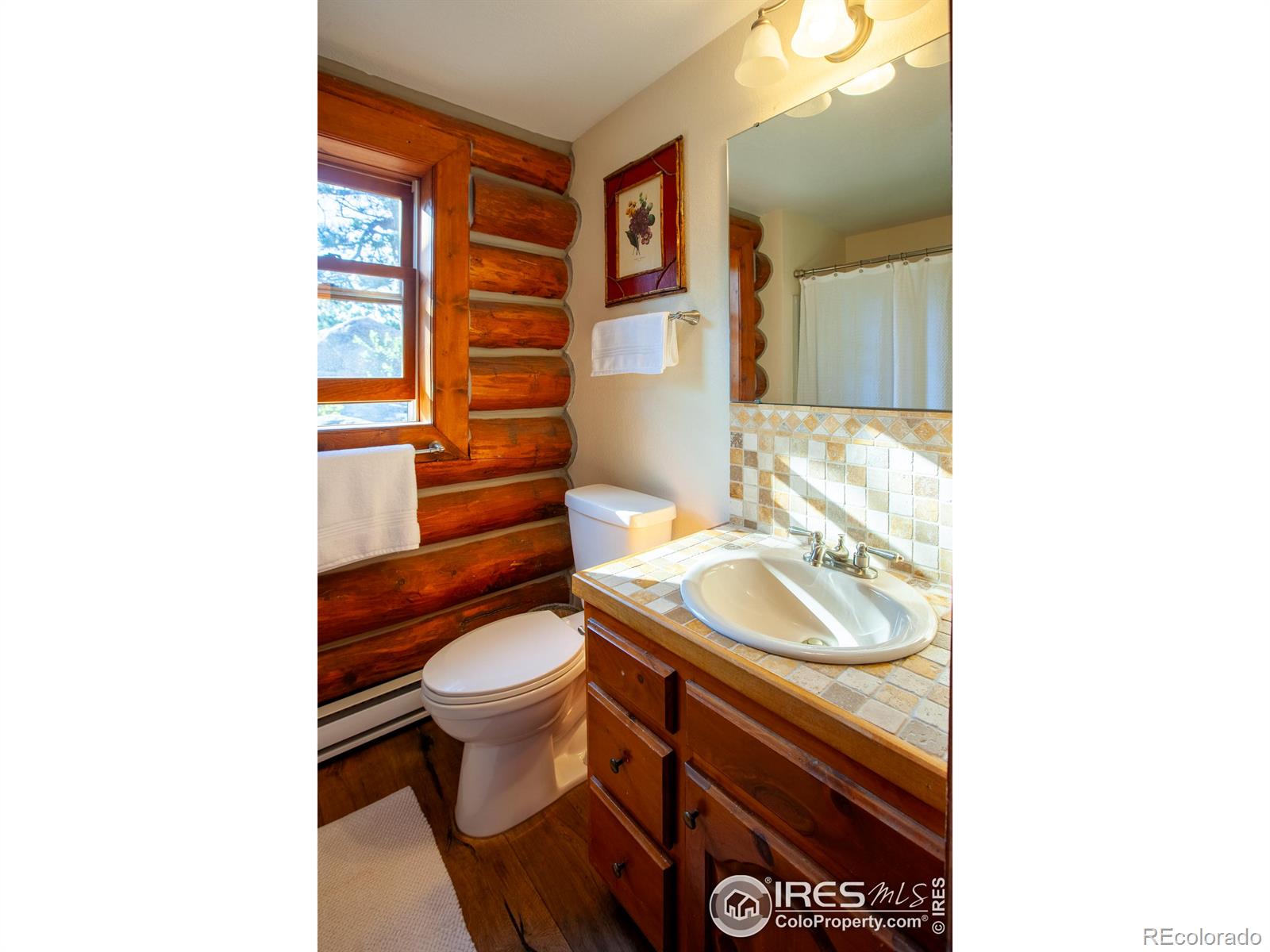 MLS Image #11 for 240  leons place,lyons, Colorado