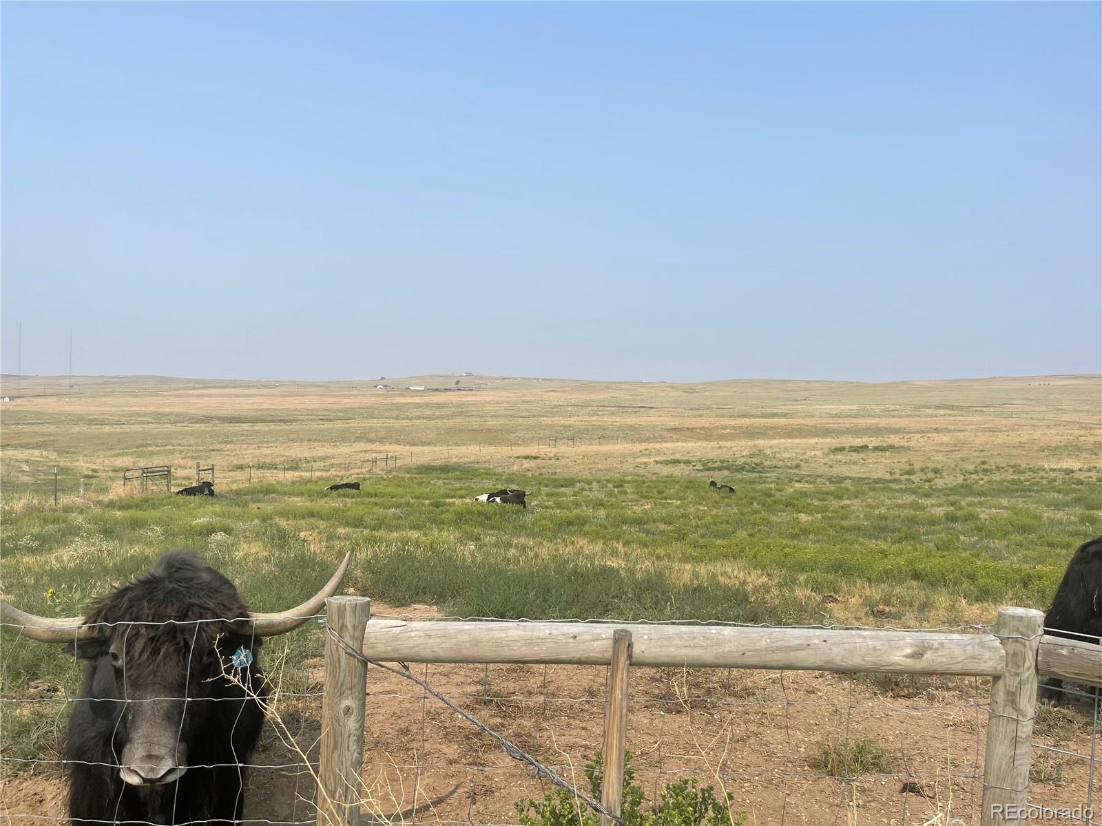 MLS Image #48 for 27525  state highway 86 ,simla, Colorado