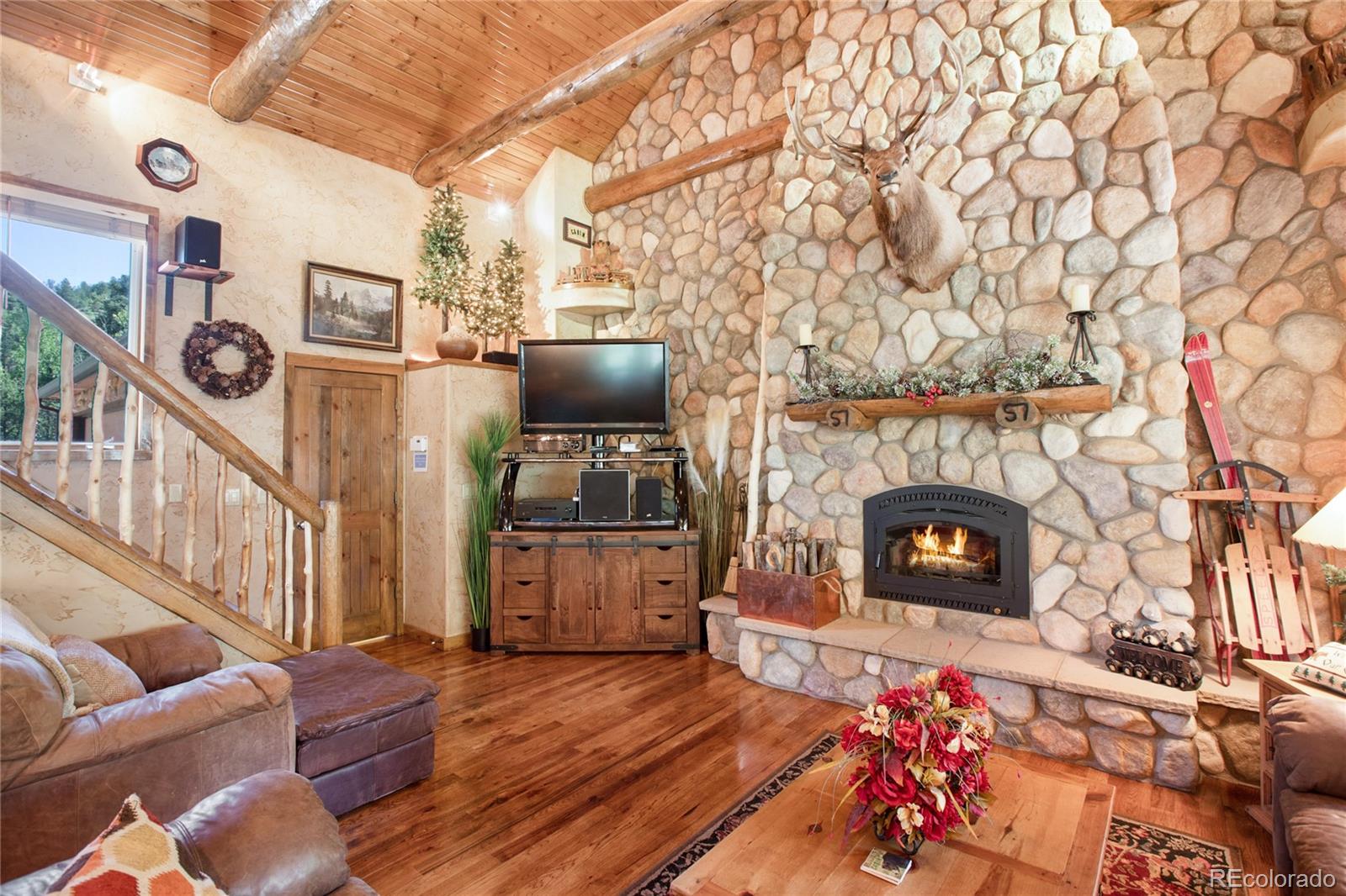 MLS Image #10 for 600  beaver pond drive,divide, Colorado