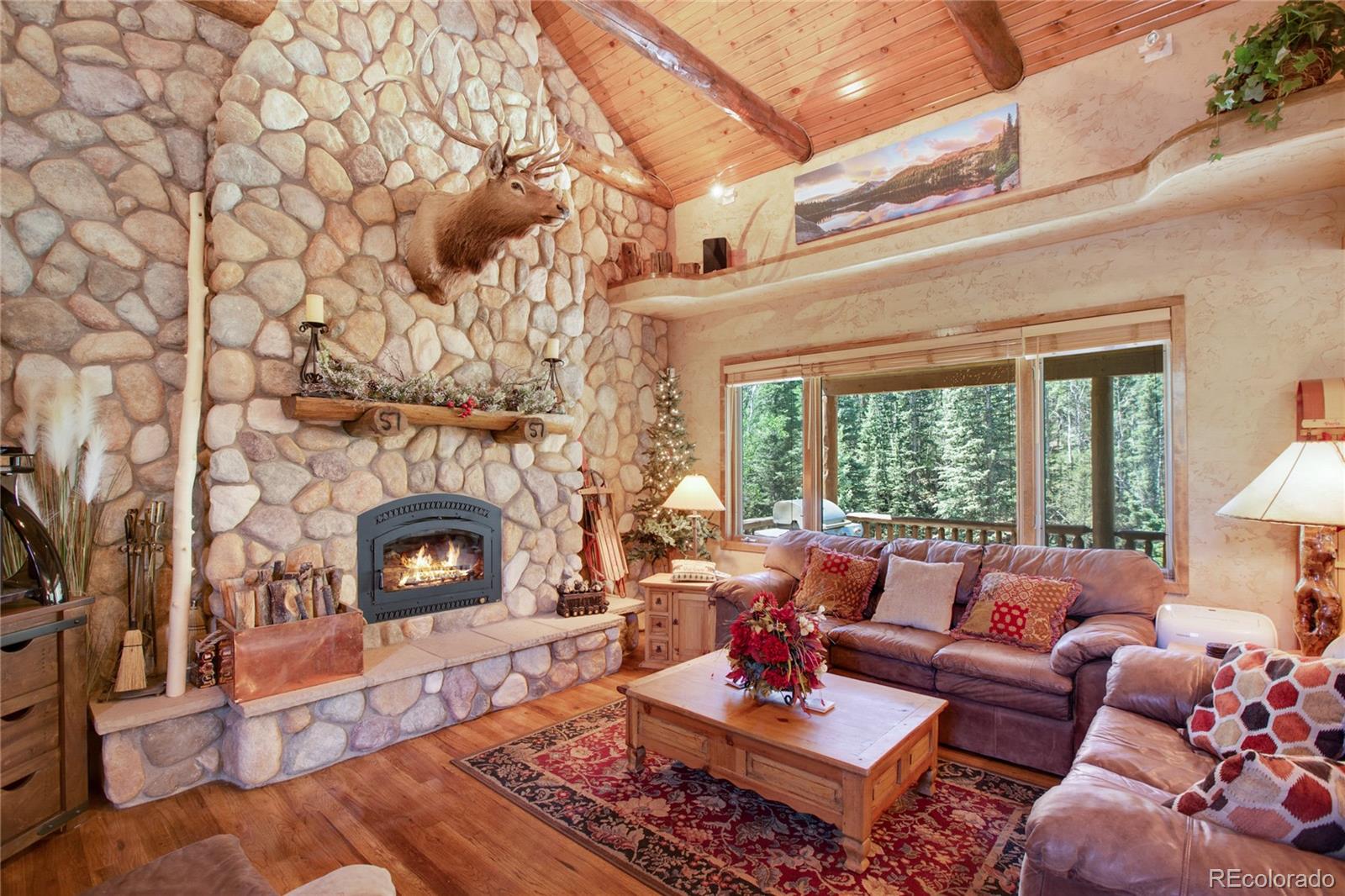 MLS Image #12 for 600  beaver pond drive,divide, Colorado