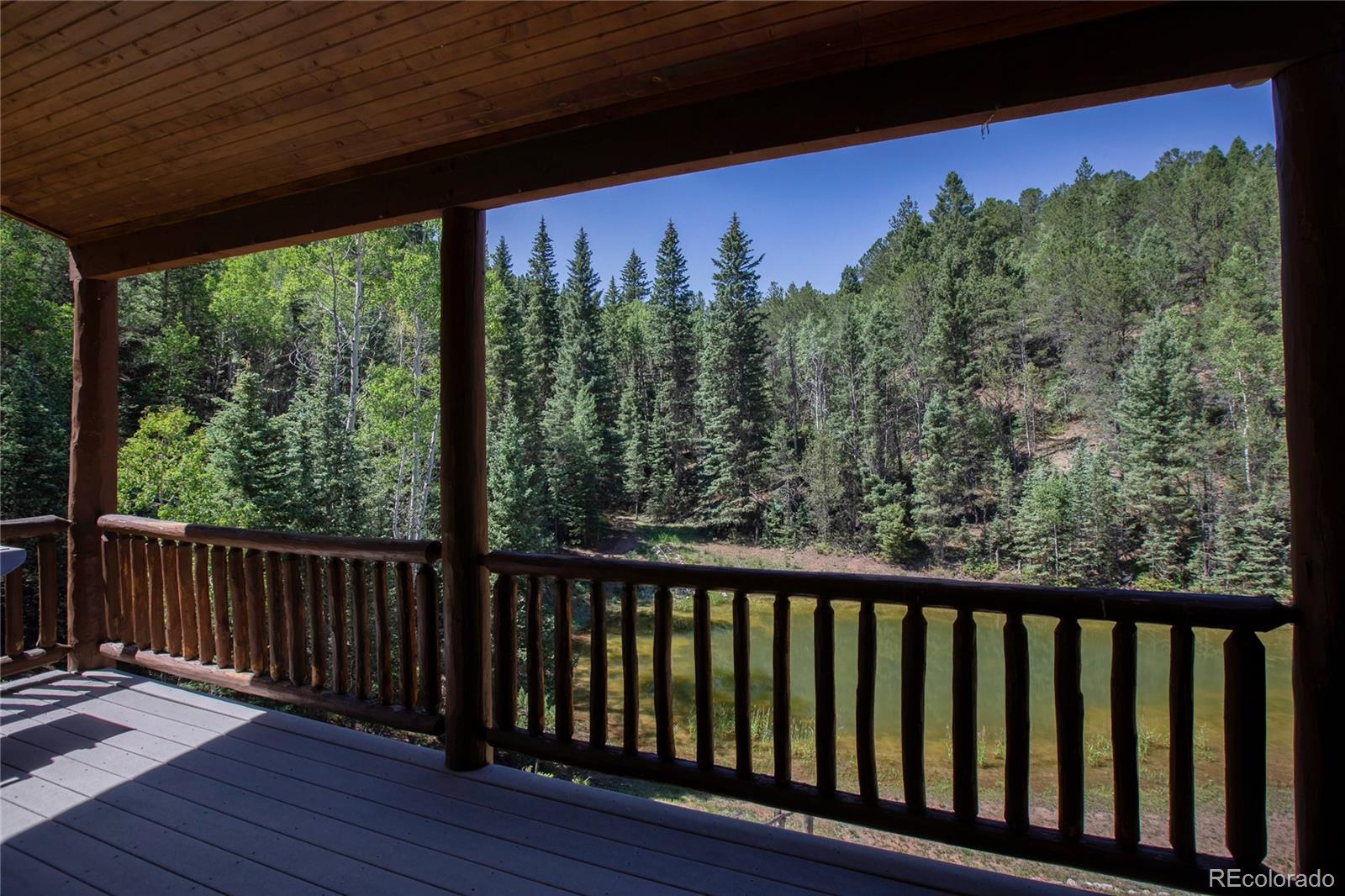 MLS Image #28 for 600  beaver pond drive,divide, Colorado