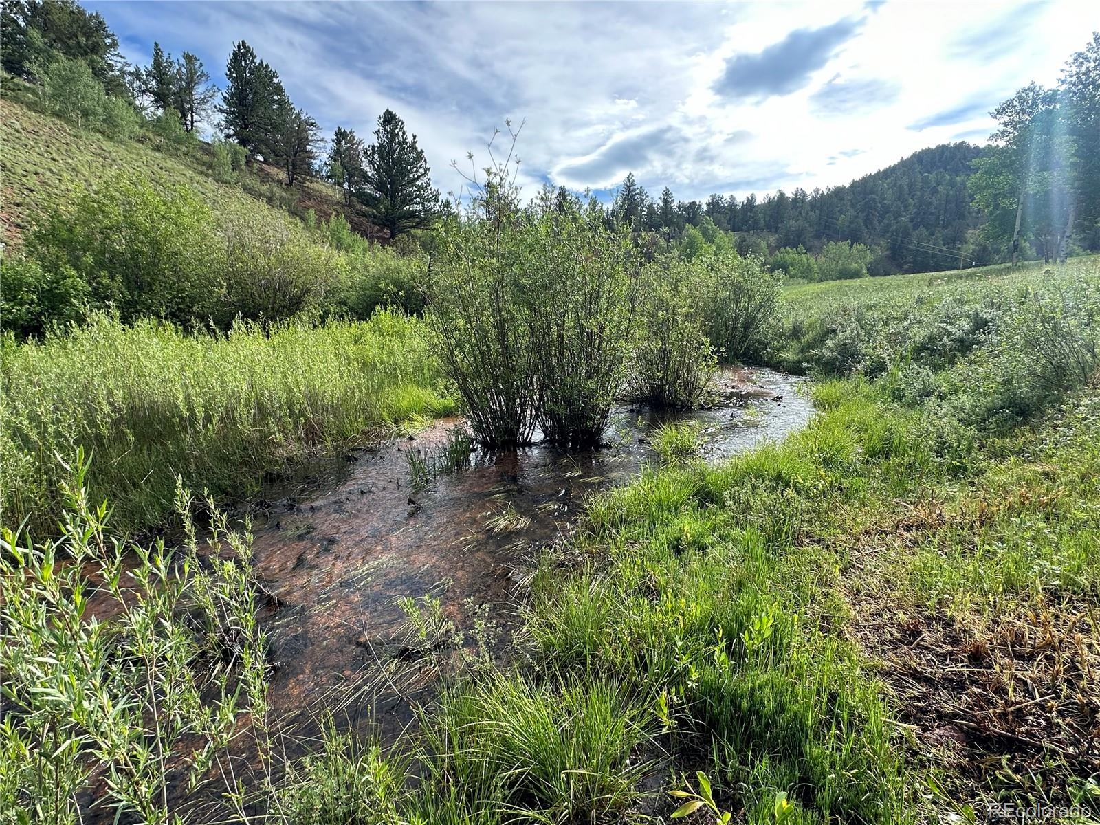 MLS Image #37 for 600  beaver pond drive,divide, Colorado