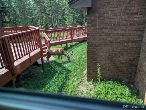 MLS Image #34 for 10162  buena vista drive,conifer, Colorado