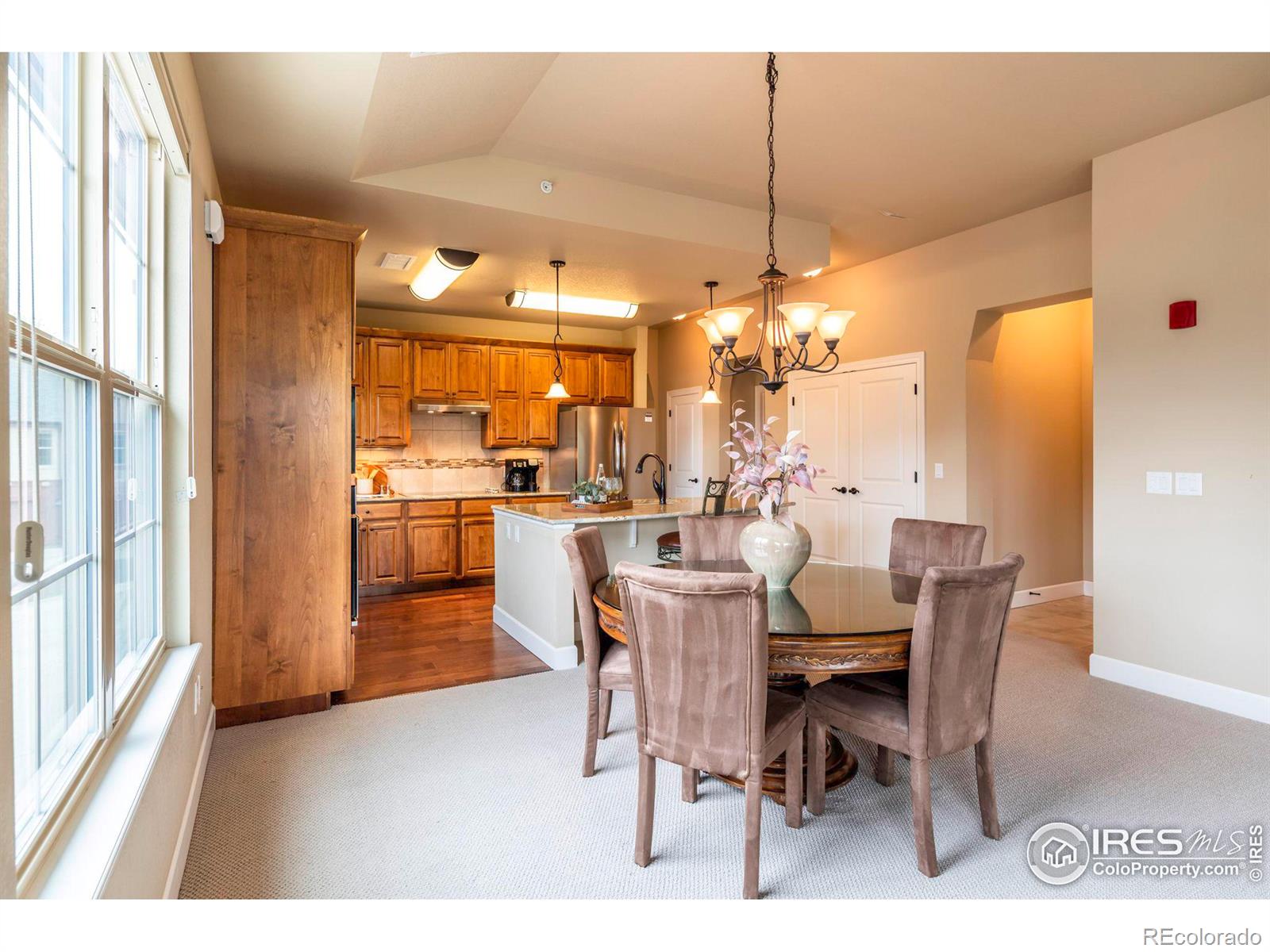 MLS Image #10 for 1379  charles drive,longmont, Colorado