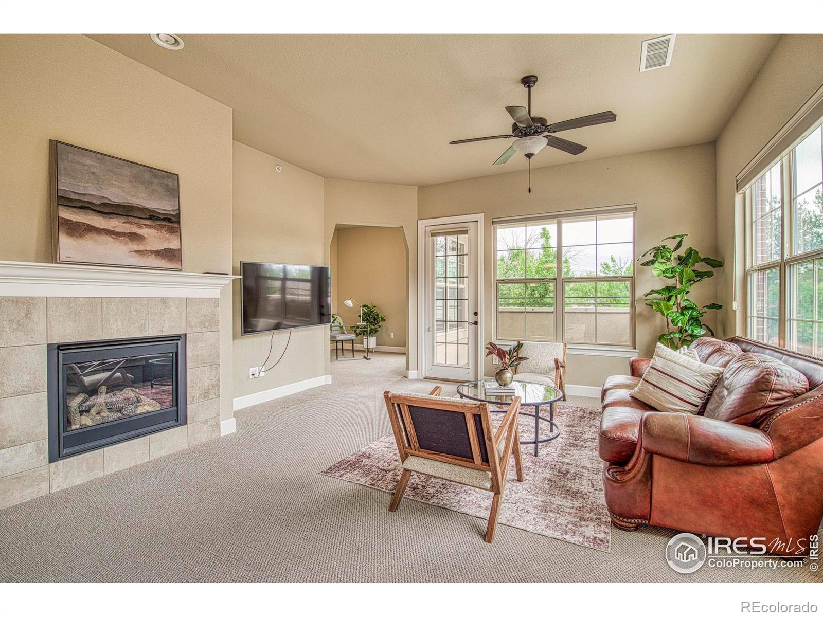 MLS Image #14 for 1379  charles drive,longmont, Colorado