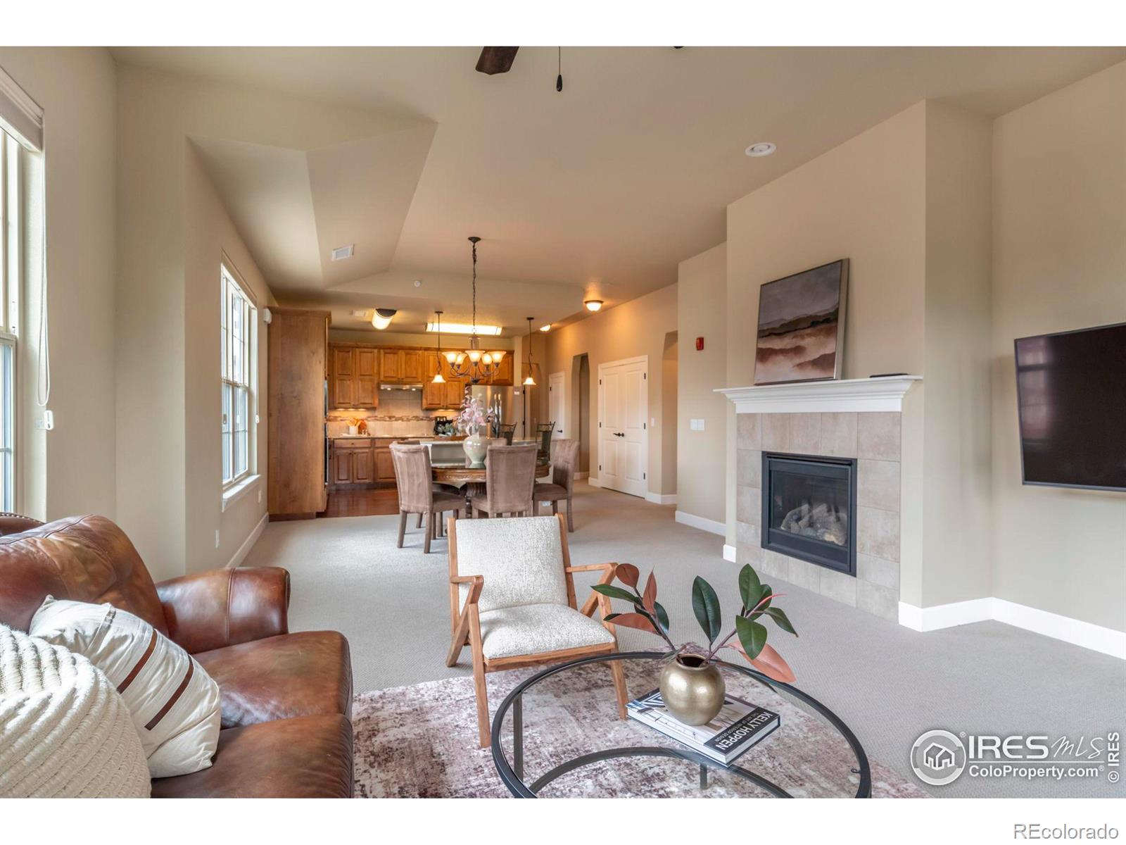 MLS Image #17 for 1379  charles drive,longmont, Colorado