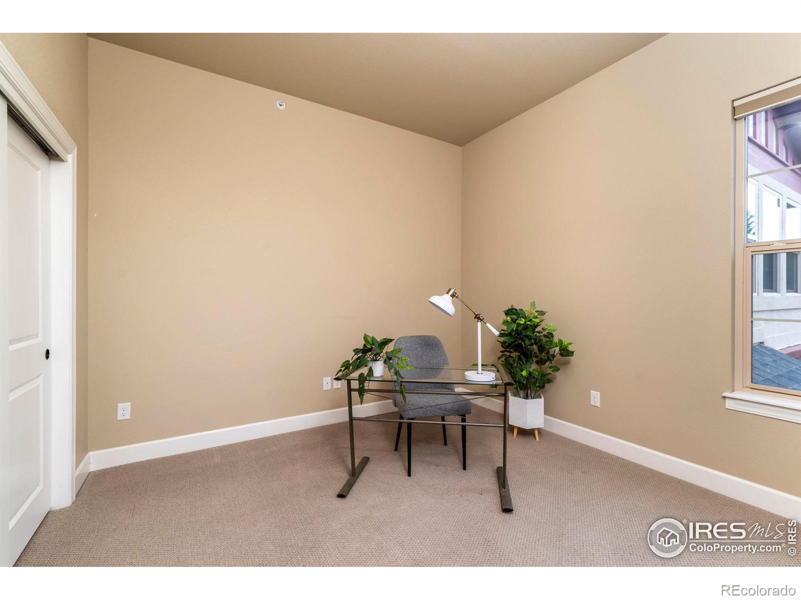 MLS Image #19 for 1379  charles drive,longmont, Colorado