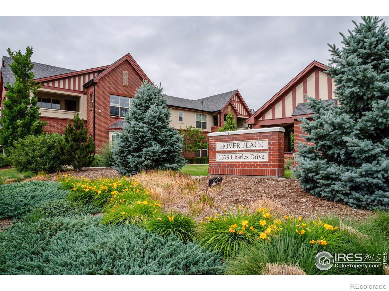 MLS Image #31 for 1379  charles drive,longmont, Colorado