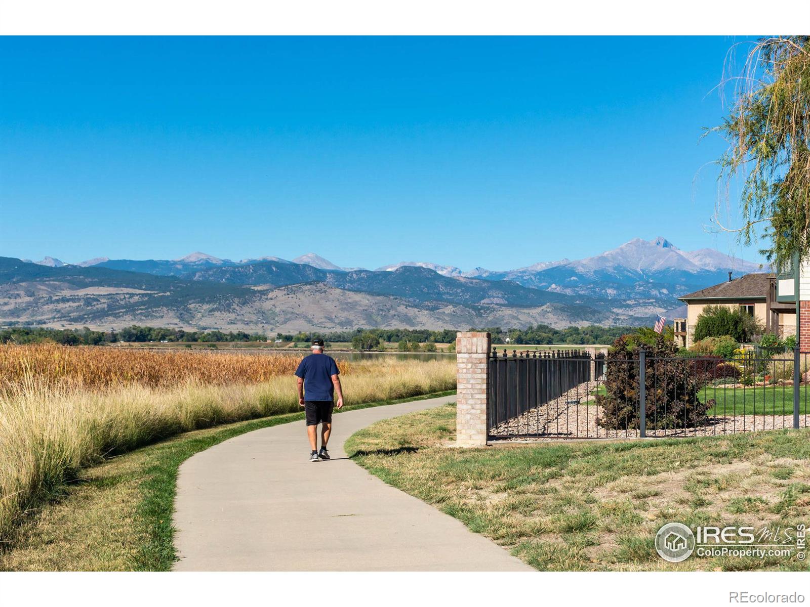 MLS Image #36 for 1379  charles drive,longmont, Colorado