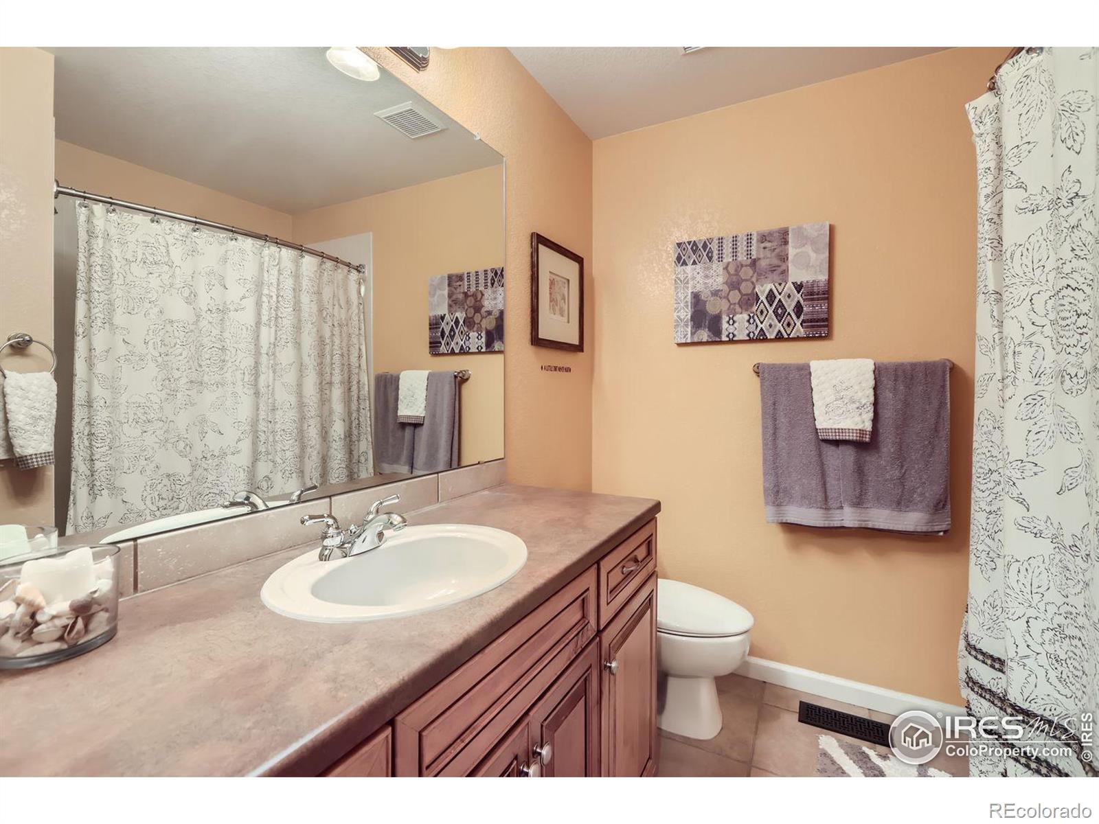 MLS Image #19 for 1613  golden bear drive,longmont, Colorado