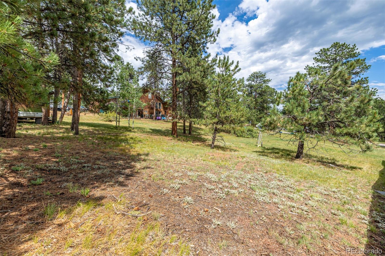 MLS Image #19 for 34214  iroquois trail,pine, Colorado