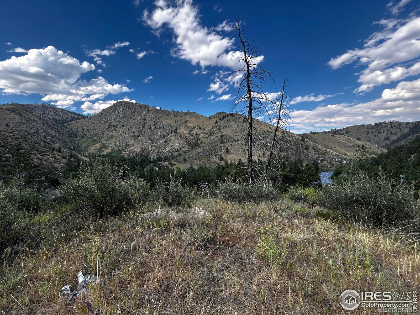 MLS Image #14 for 6785  poudre canyon road,bellvue, Colorado