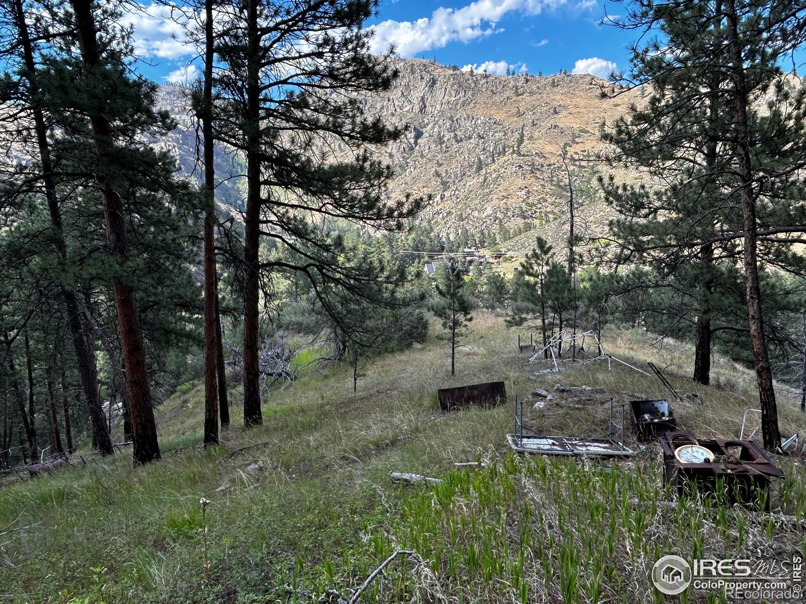 MLS Image #16 for 6785  poudre canyon road,bellvue, Colorado