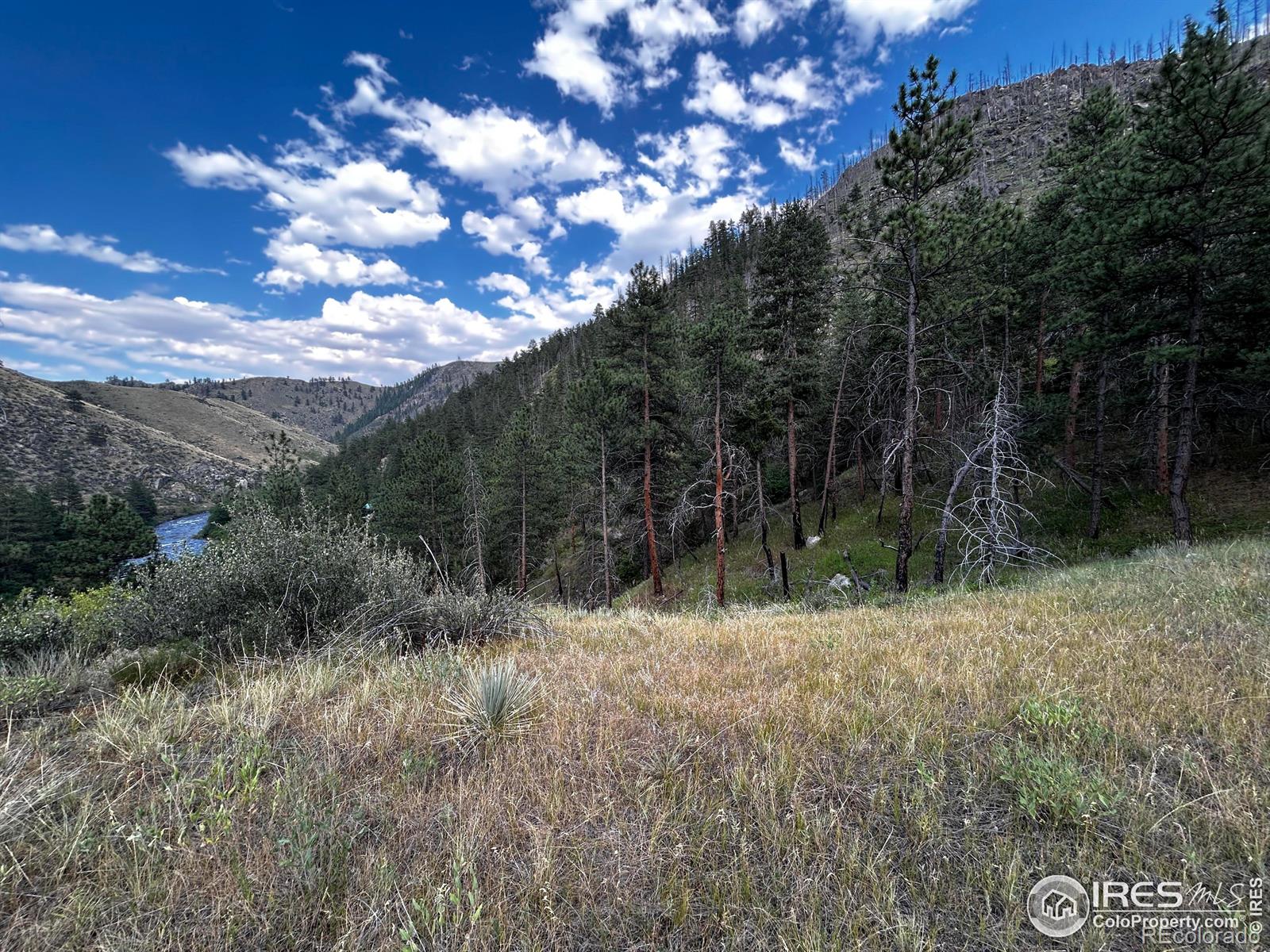 MLS Image #17 for 6785  poudre canyon road,bellvue, Colorado