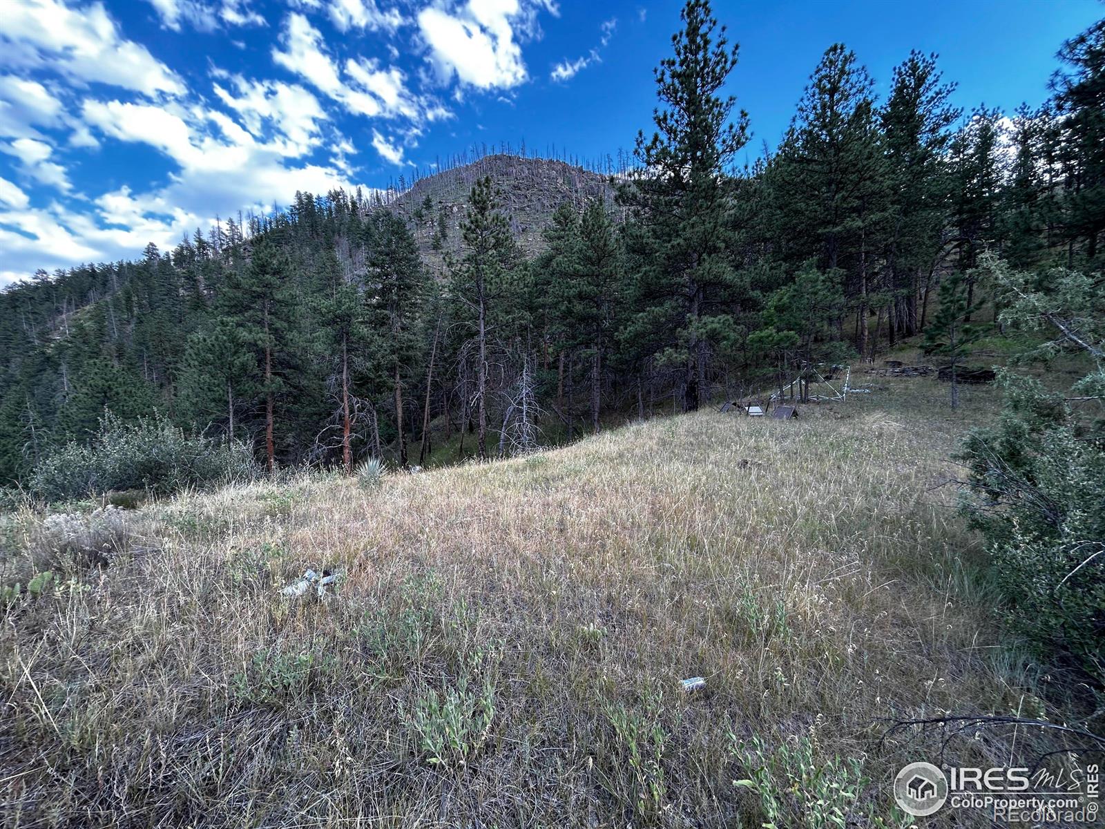 MLS Image #18 for 6785  poudre canyon road,bellvue, Colorado